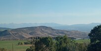 The view from the patio
