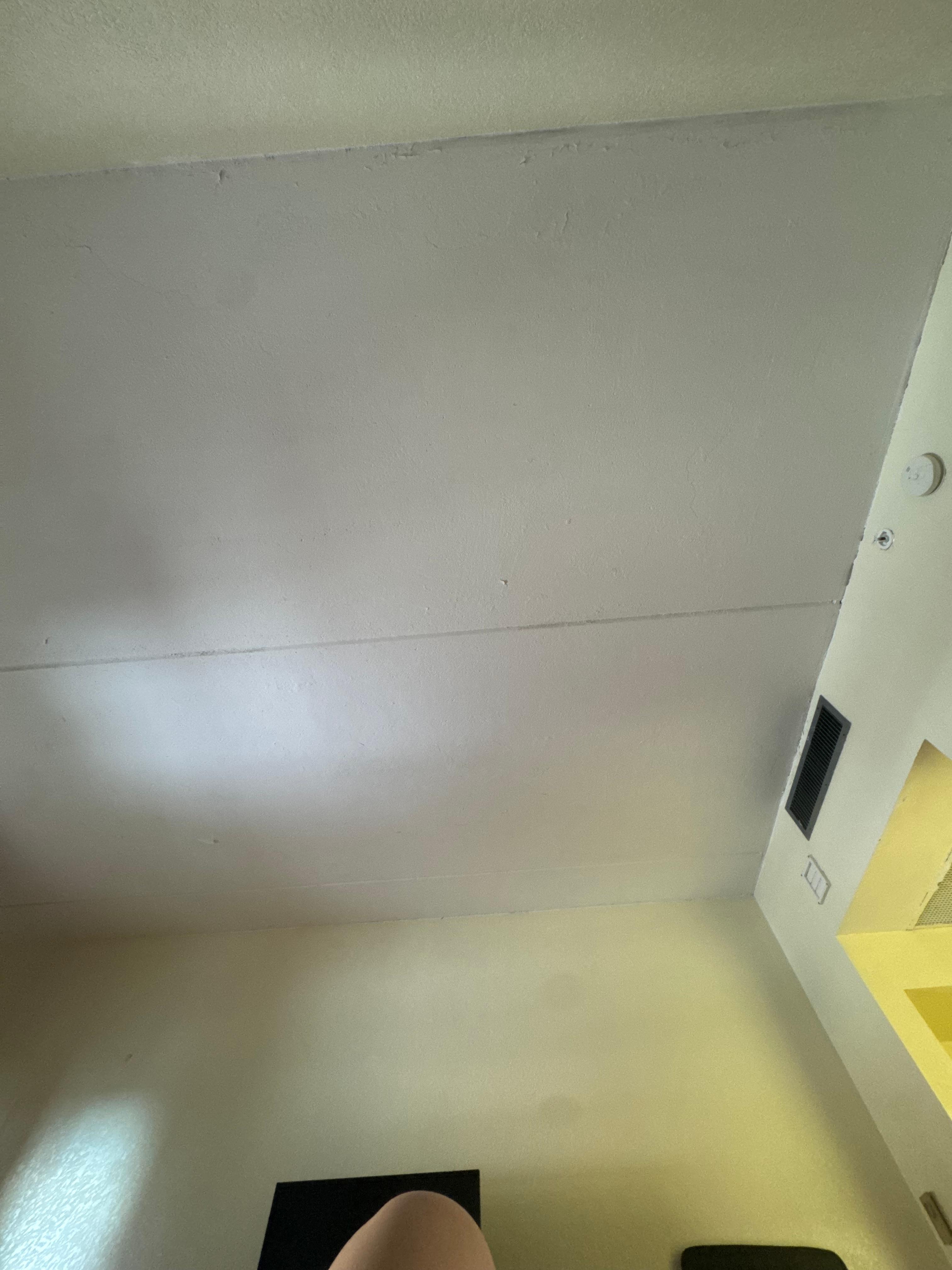 Paint peeling off the ceiling. They used paint as a bandaid everywhere, door jam door, bathtub, vents