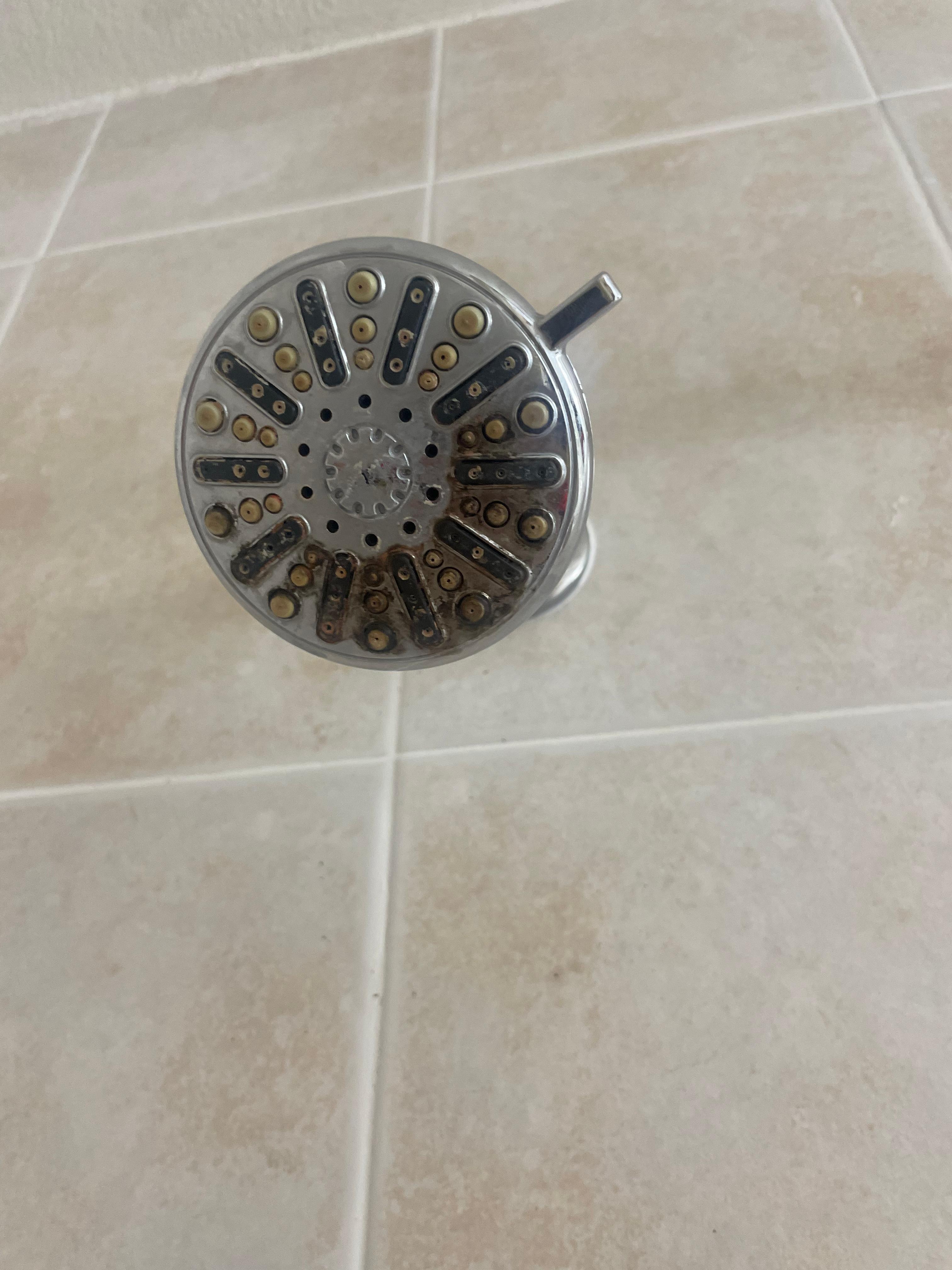 Rusted showerhead