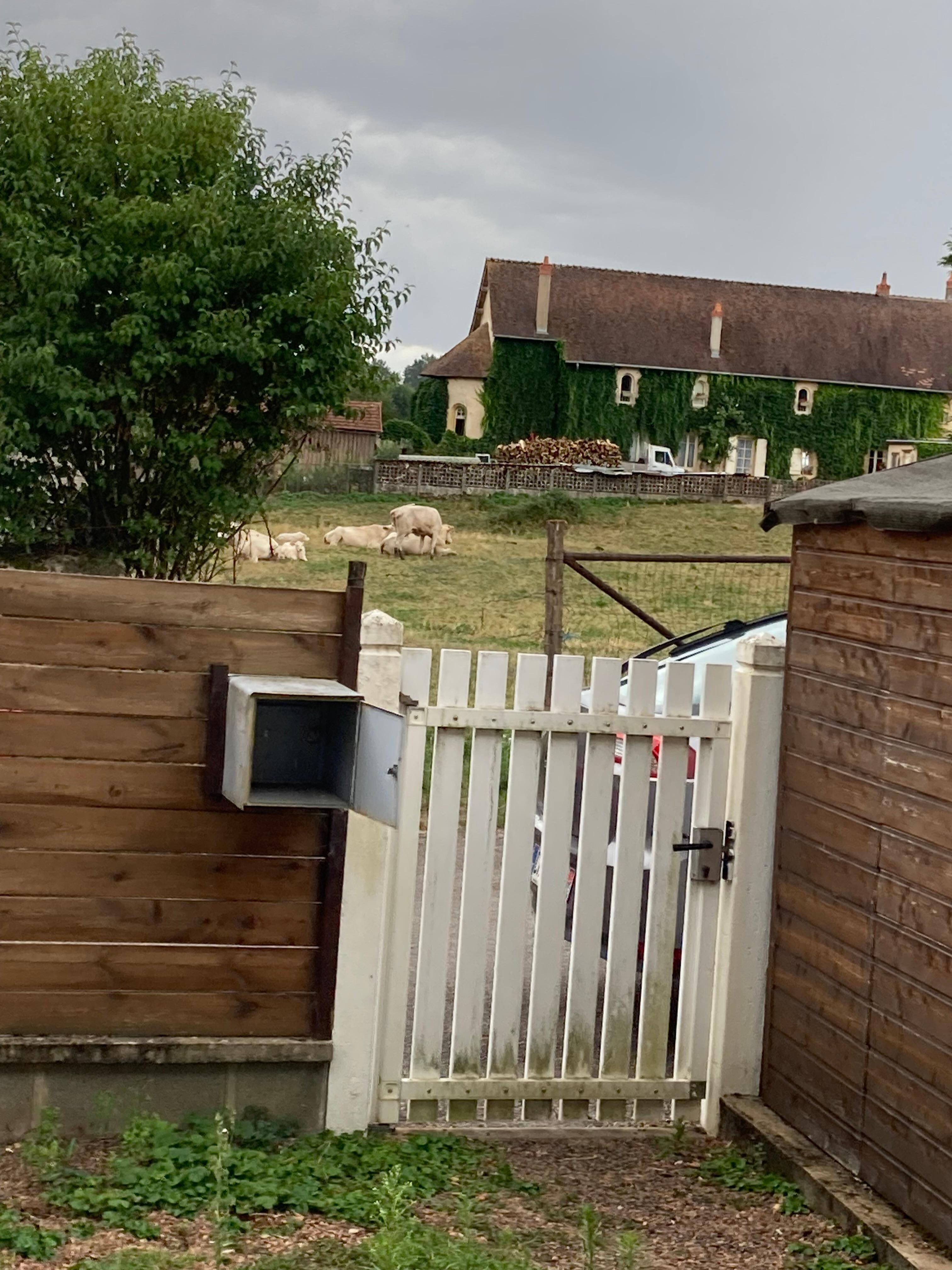 Vue depuis la cour, calme assuré