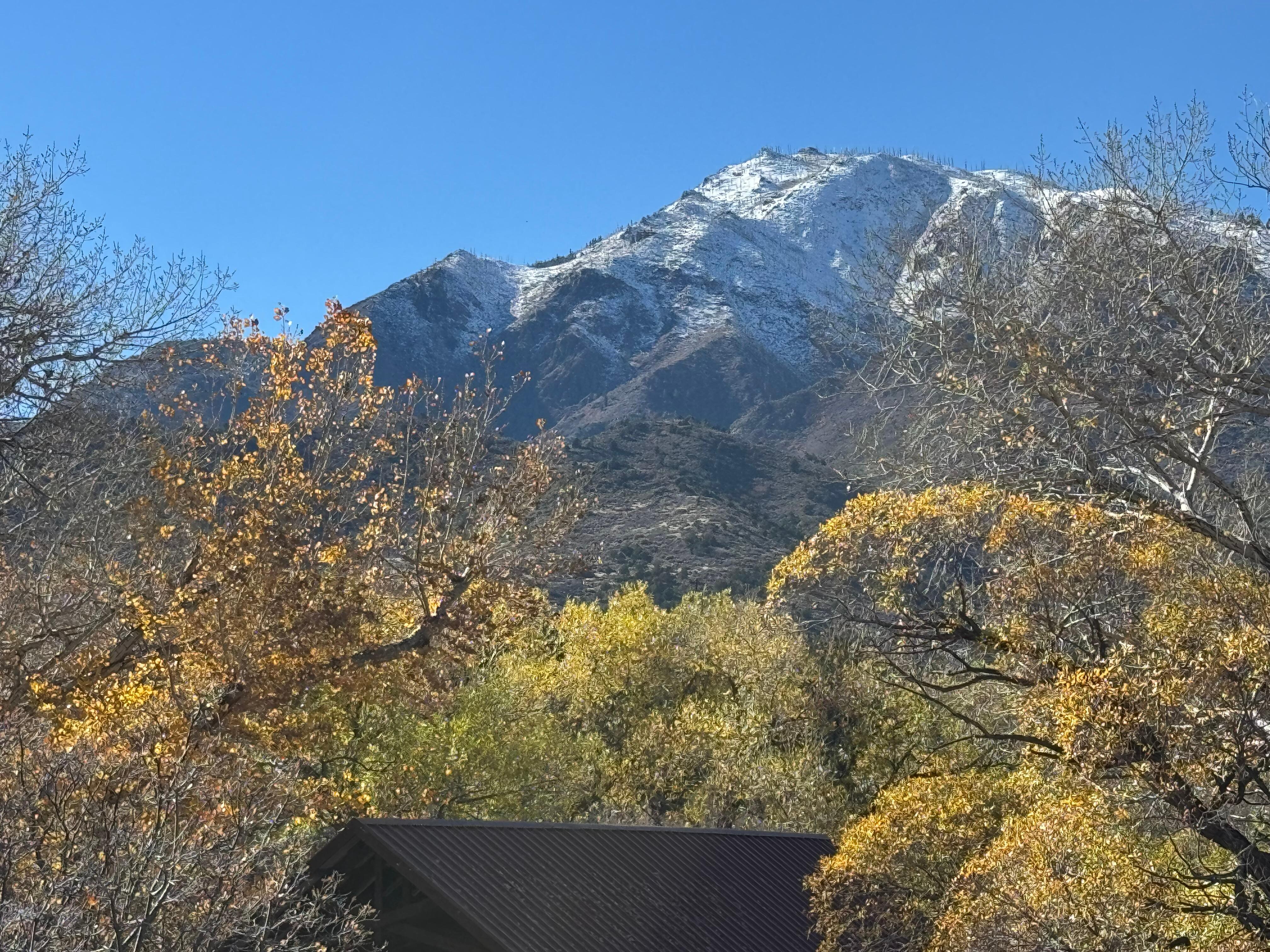 The view never got old