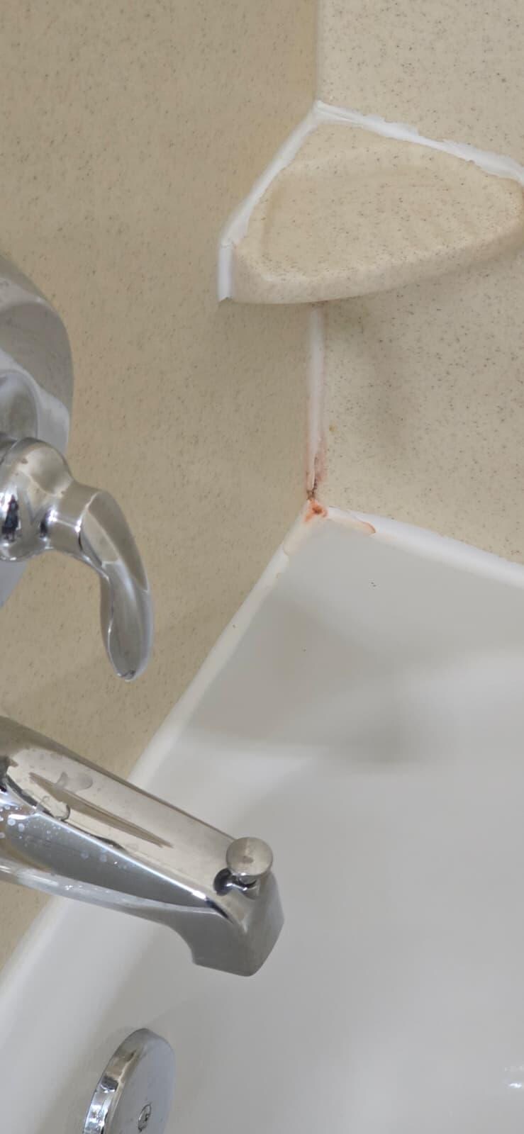 the bathroom in our room was disgusting