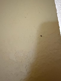 One in bathroom
