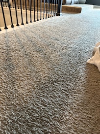 Filthy carpet
