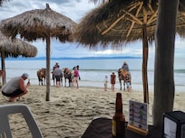No need for the All-inclusive plan - order from the restaurants, the great room service menu, or choose from MANY nearby restaurants.