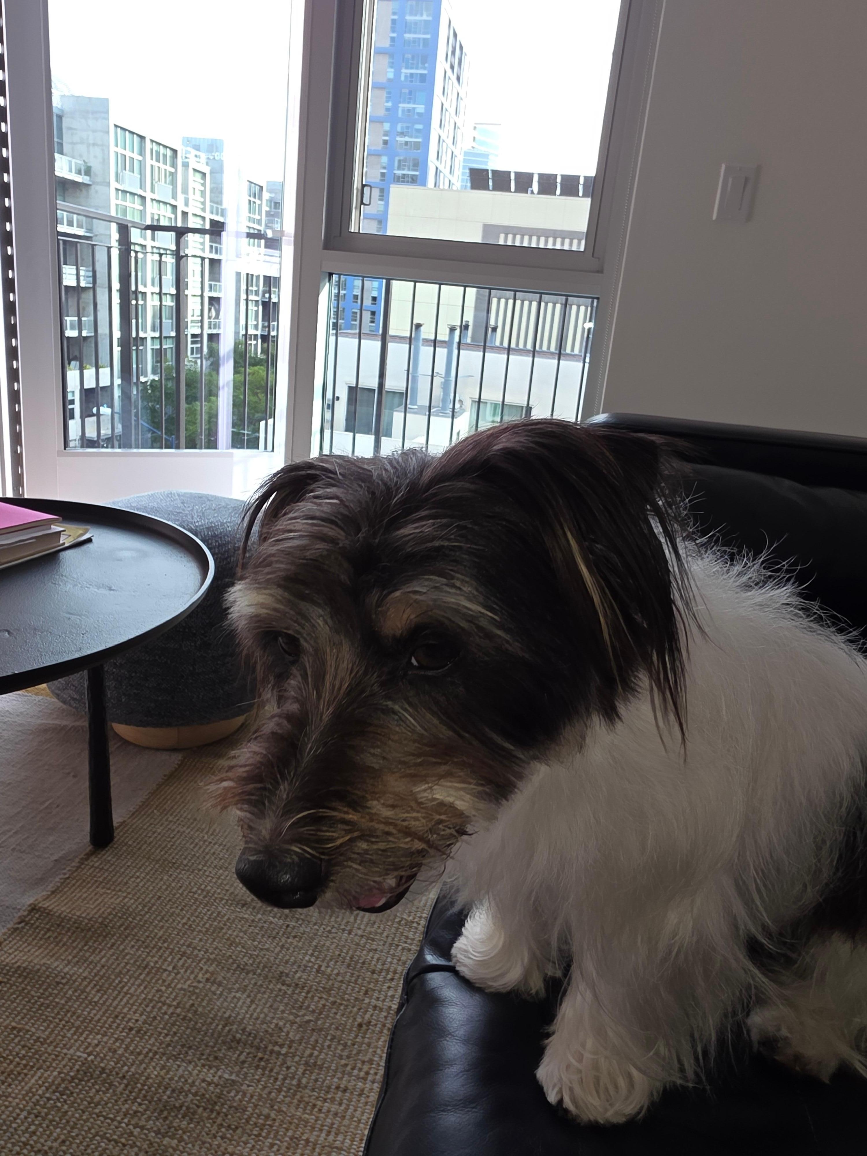 Relaxing in the room