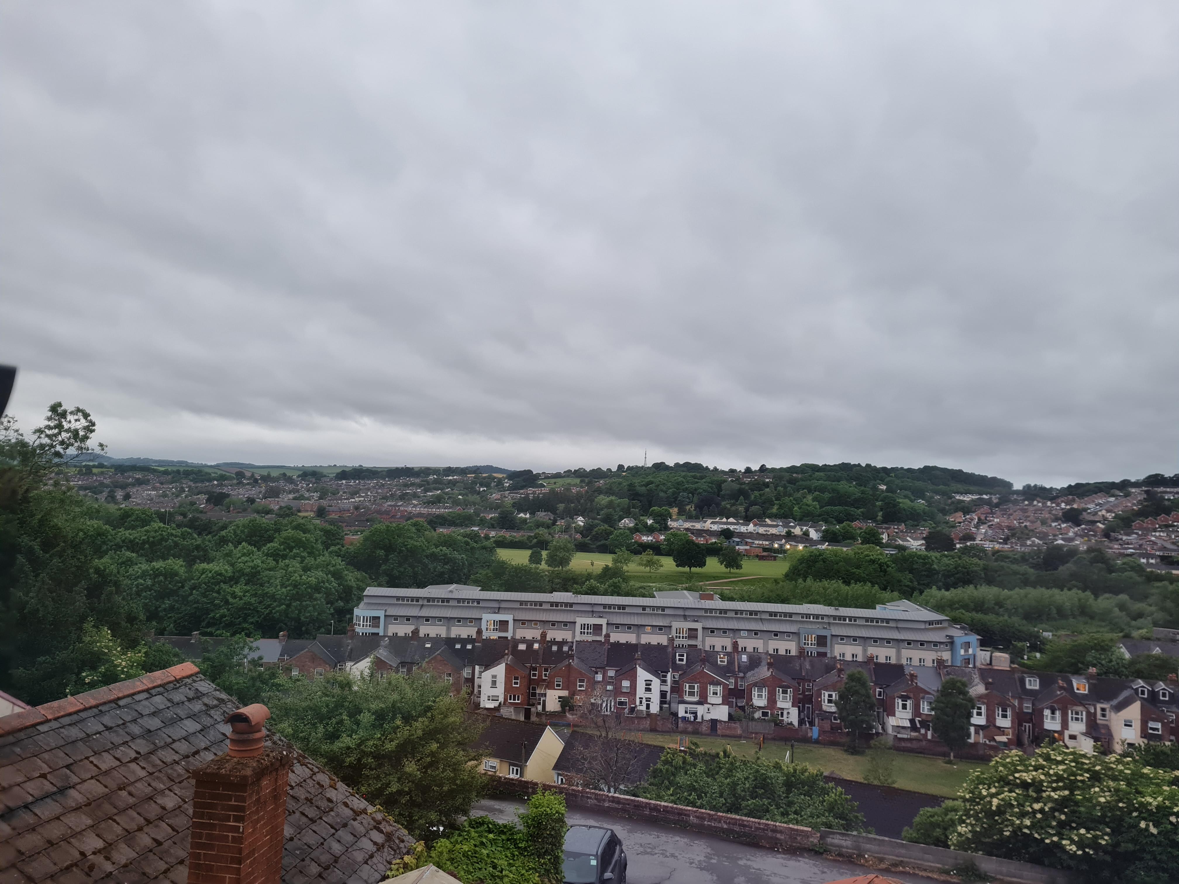 The view