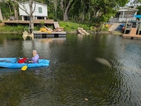 Manatee