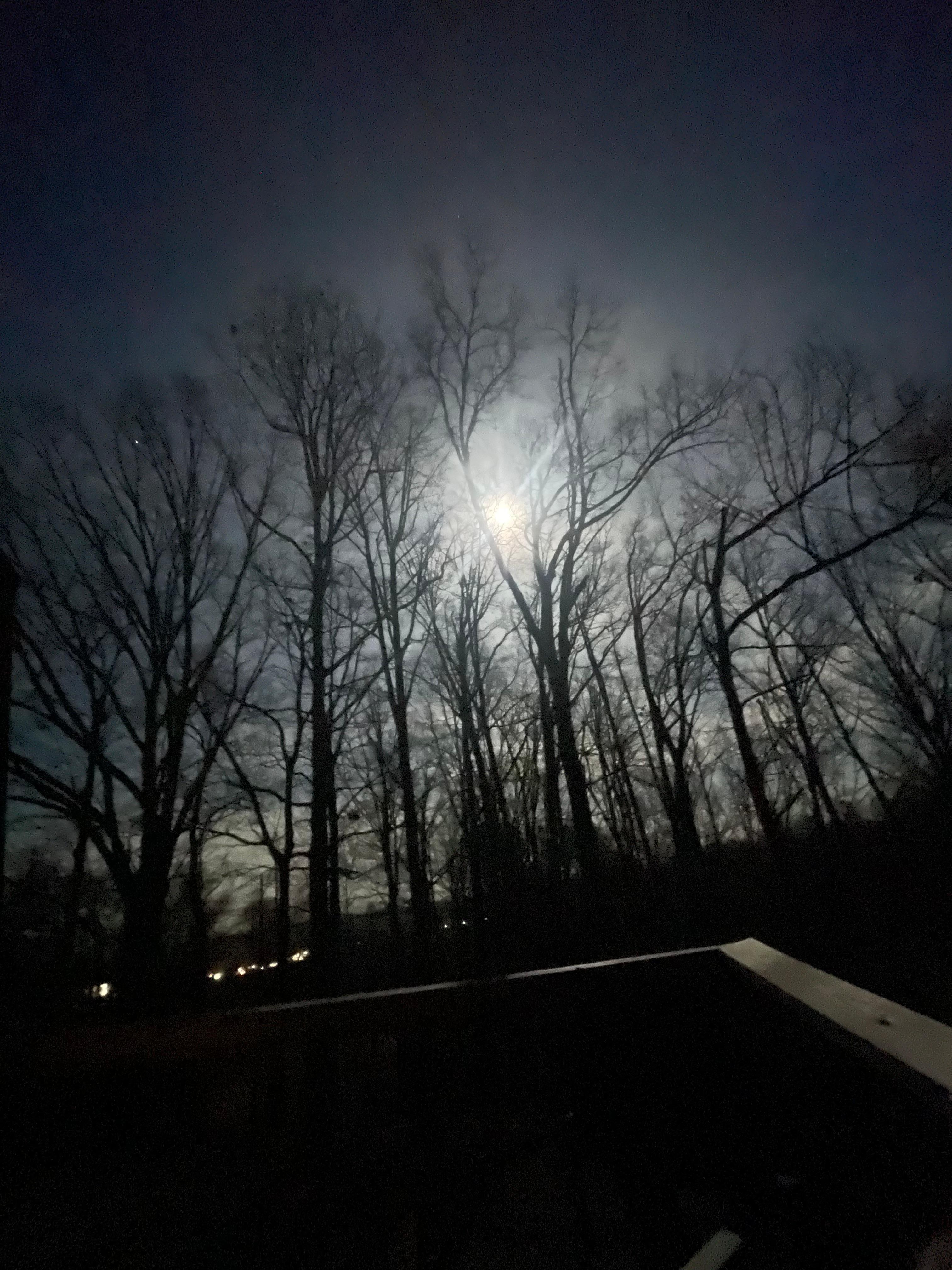 Balcony view- Magical moonlight!🌖