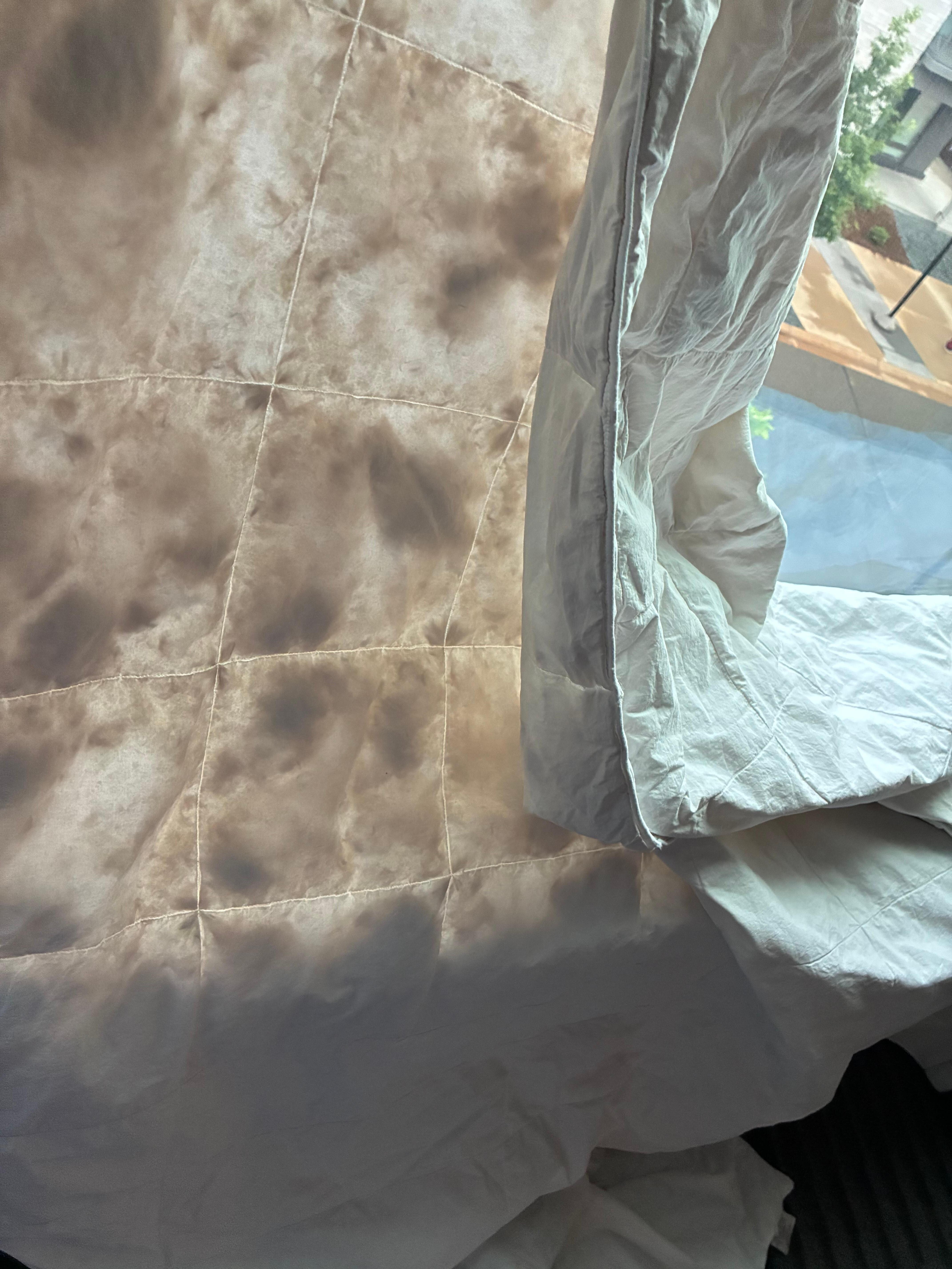 Picture of the cover up against the window