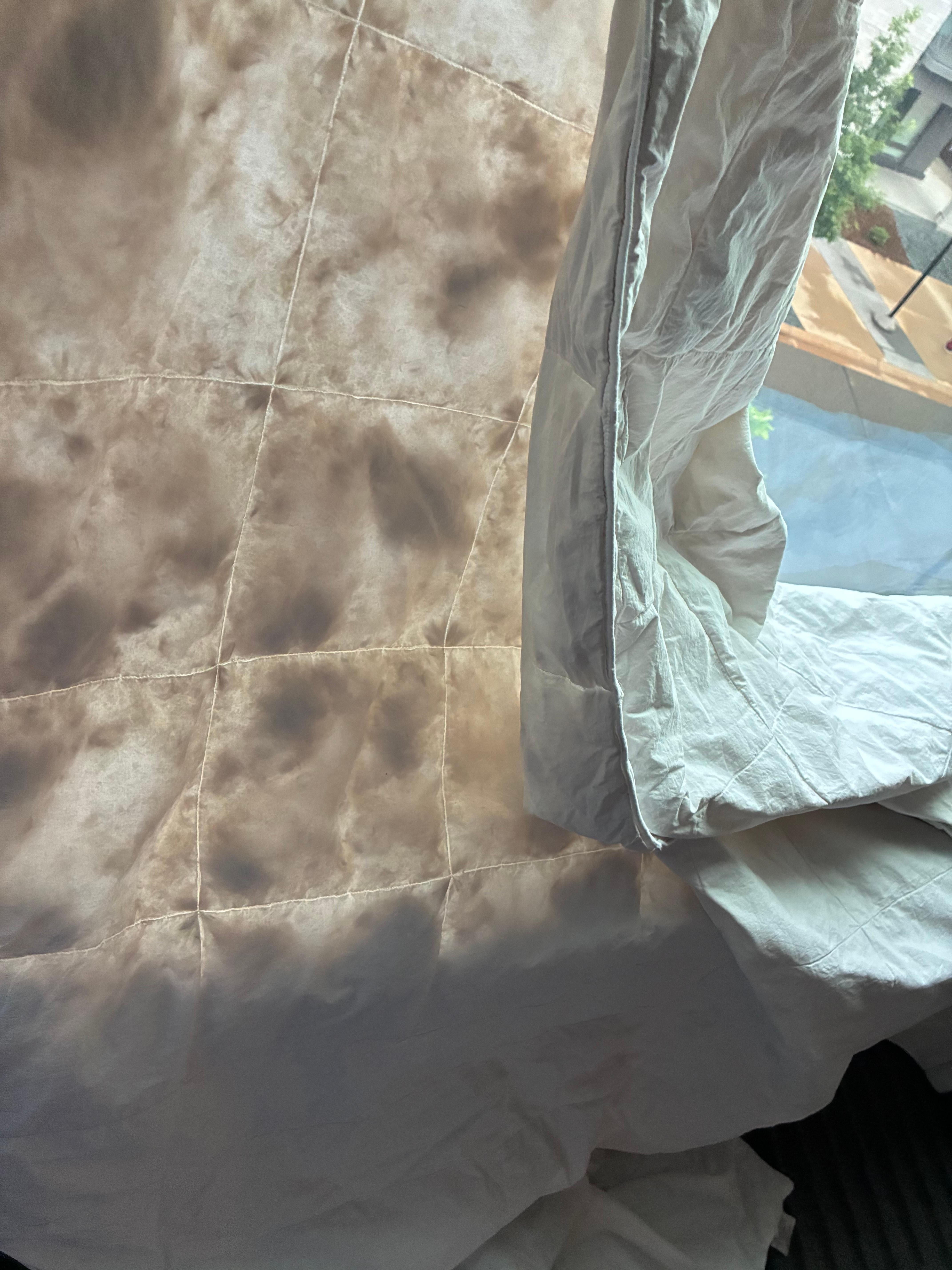 Picture of the cover up against the window