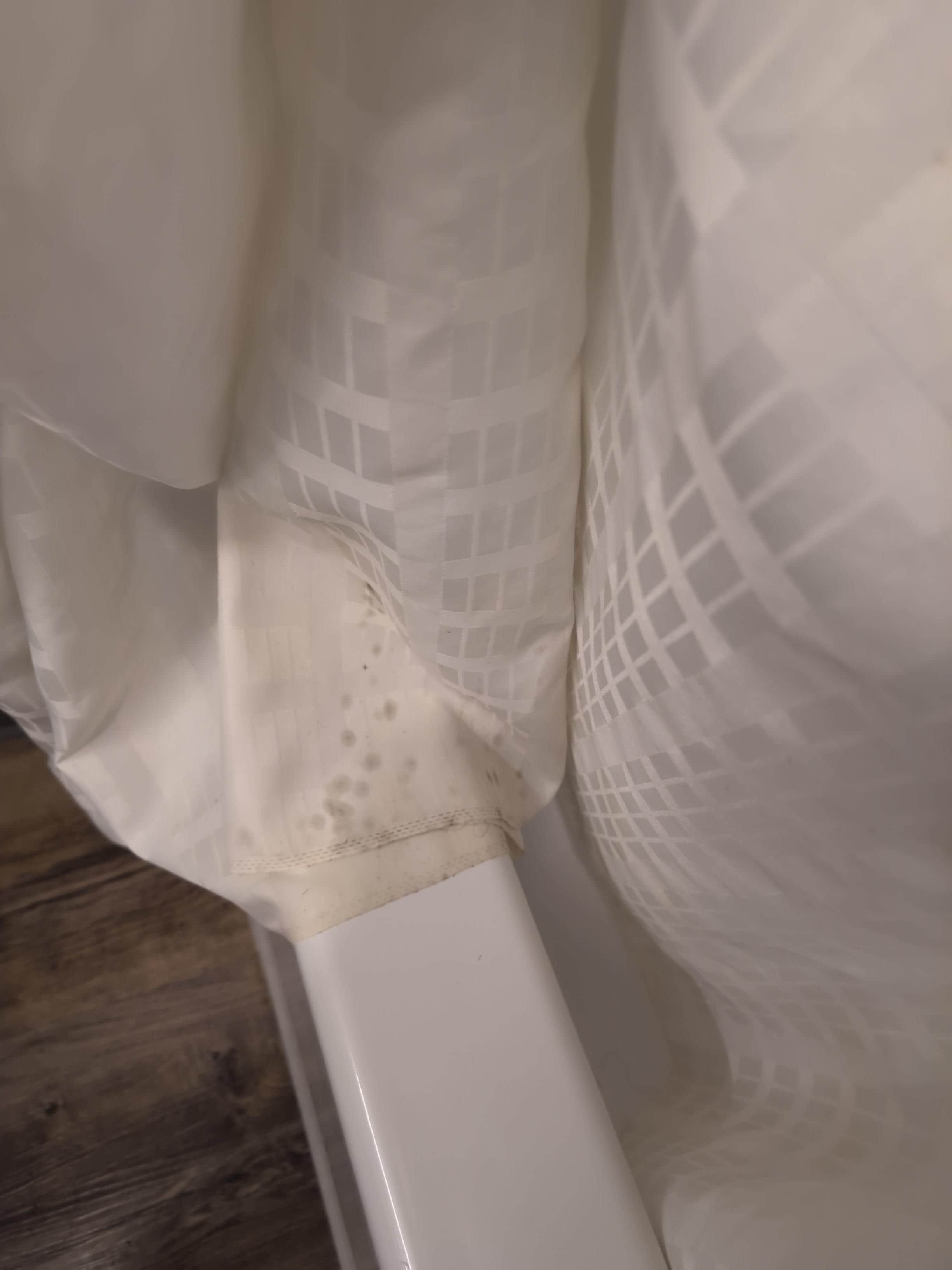 Moldy Shower Curtain 