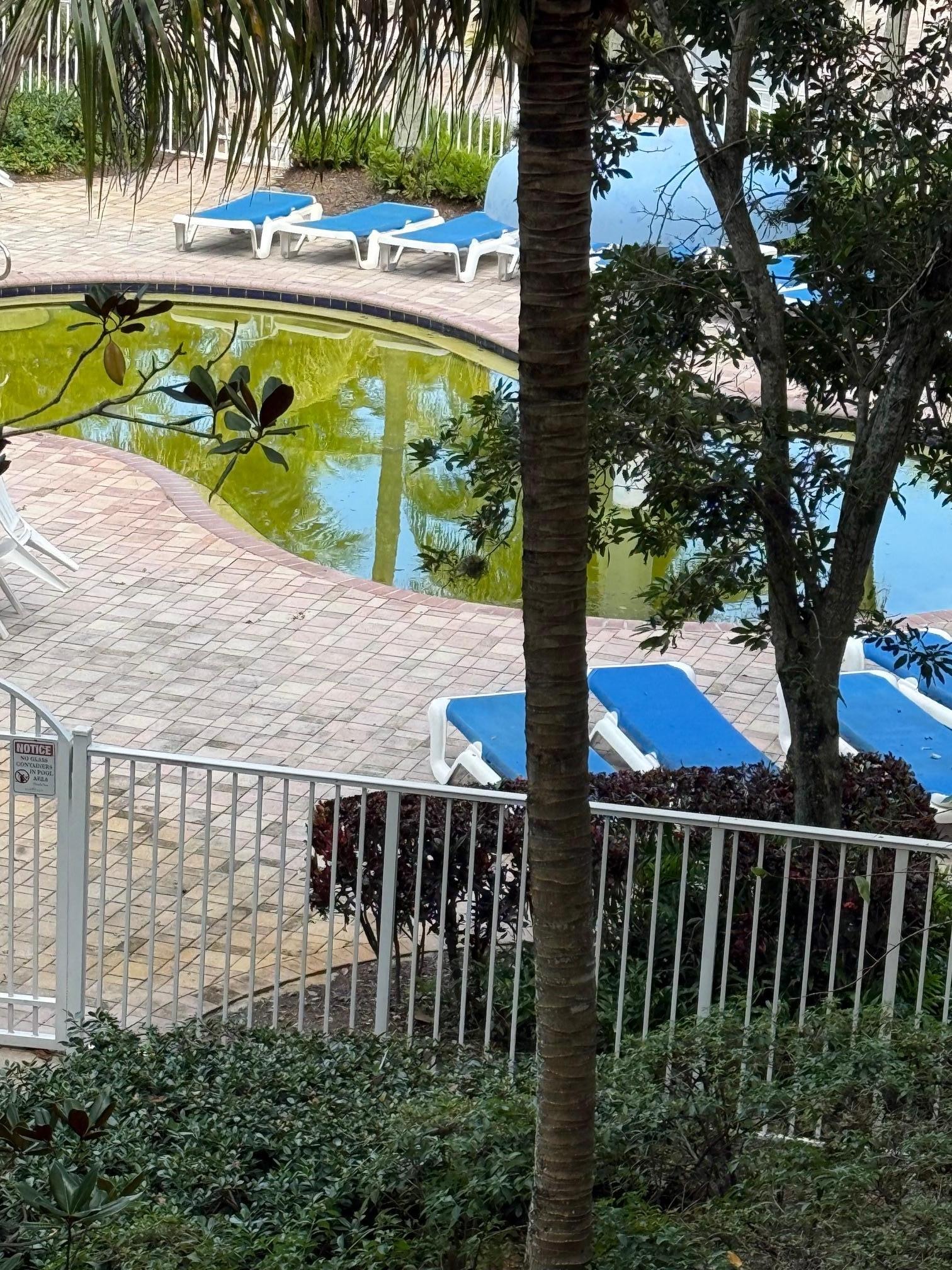 paid extra for this view