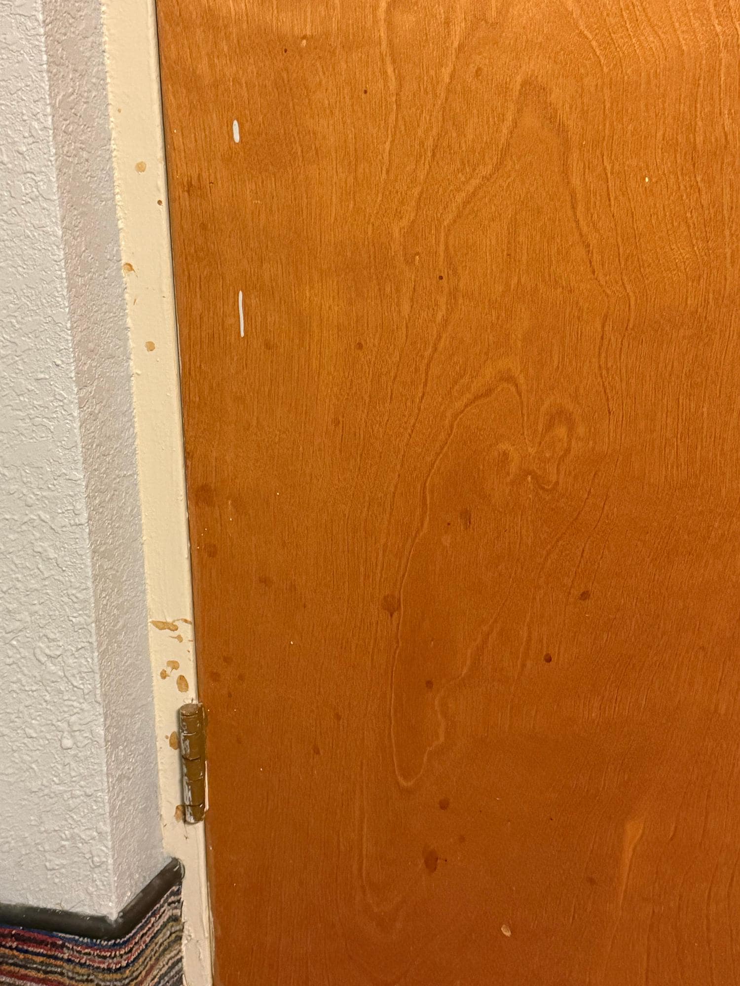 splattered substance on door