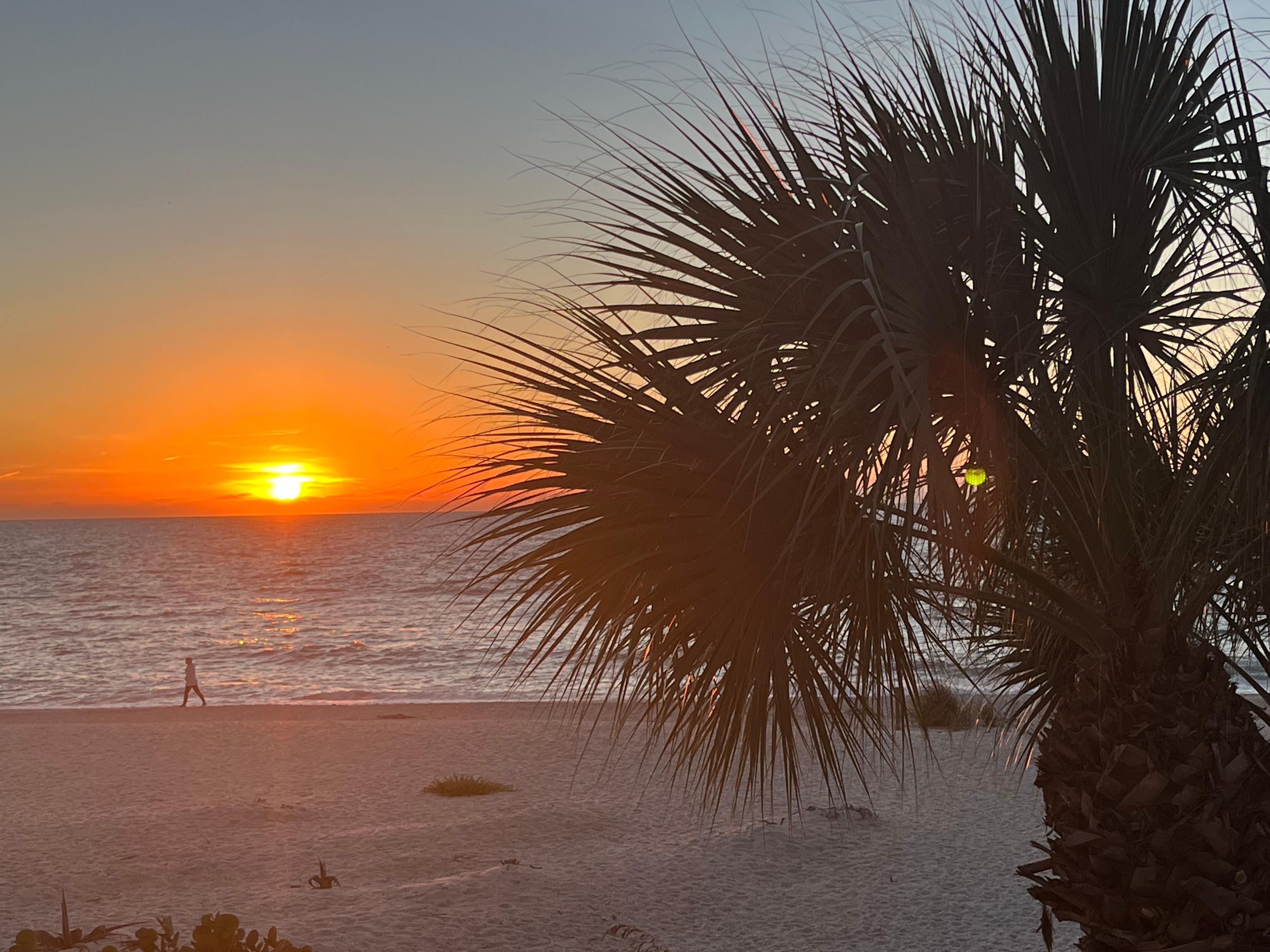 Views from our second floor deck.