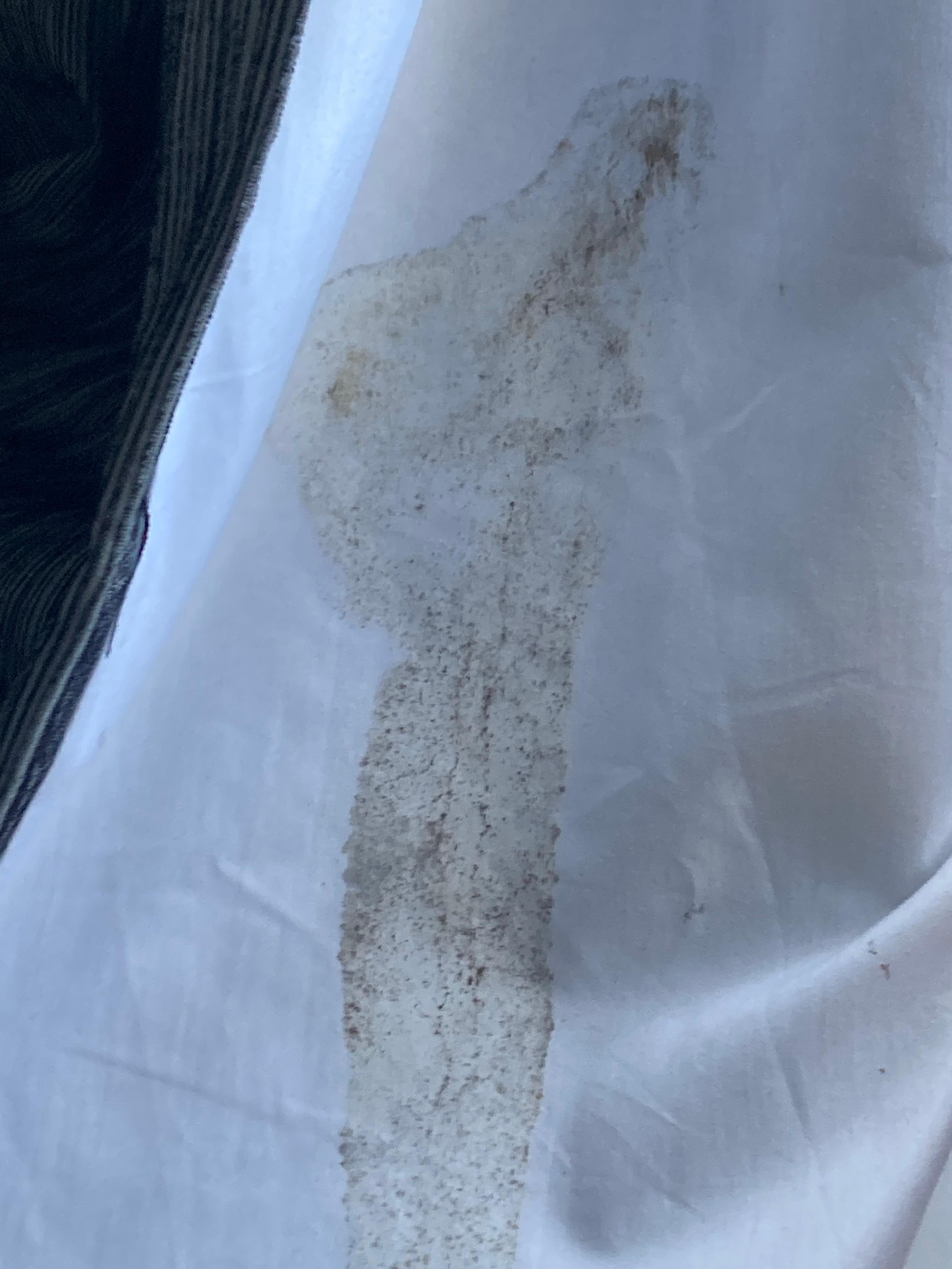 Curtains filthy 😧