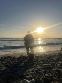 Dog Beach, so close to the house!