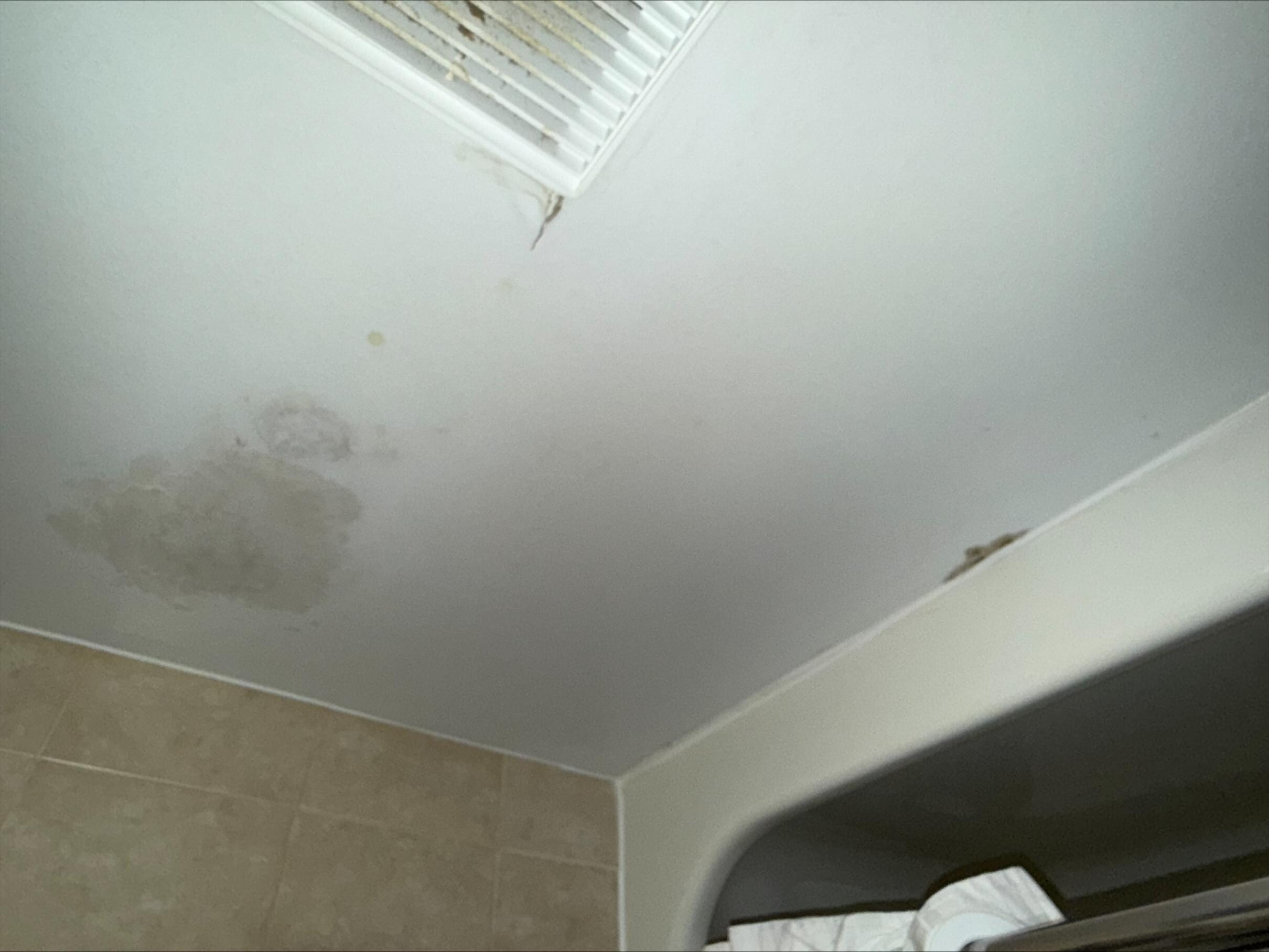 water stain/mold in the bathroom