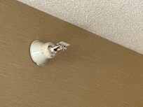 not sure what the heck this is, fire alarm...no alarm in room, and it did go off but we could faintly hear it in the hall....