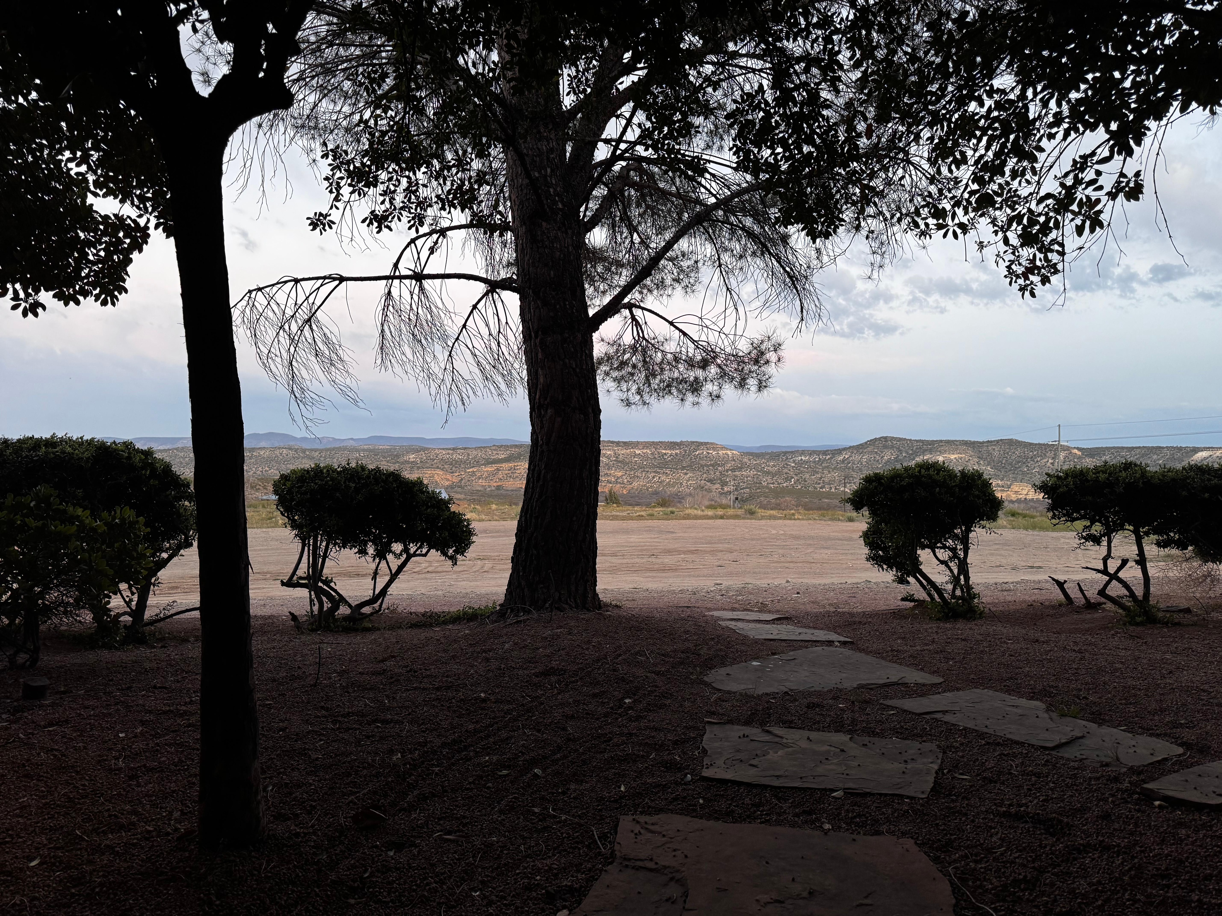 View from patio - Lodge 134