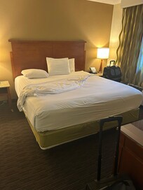 Only three flat hard pillows. The rooms were dark & the air was very musty/humid.