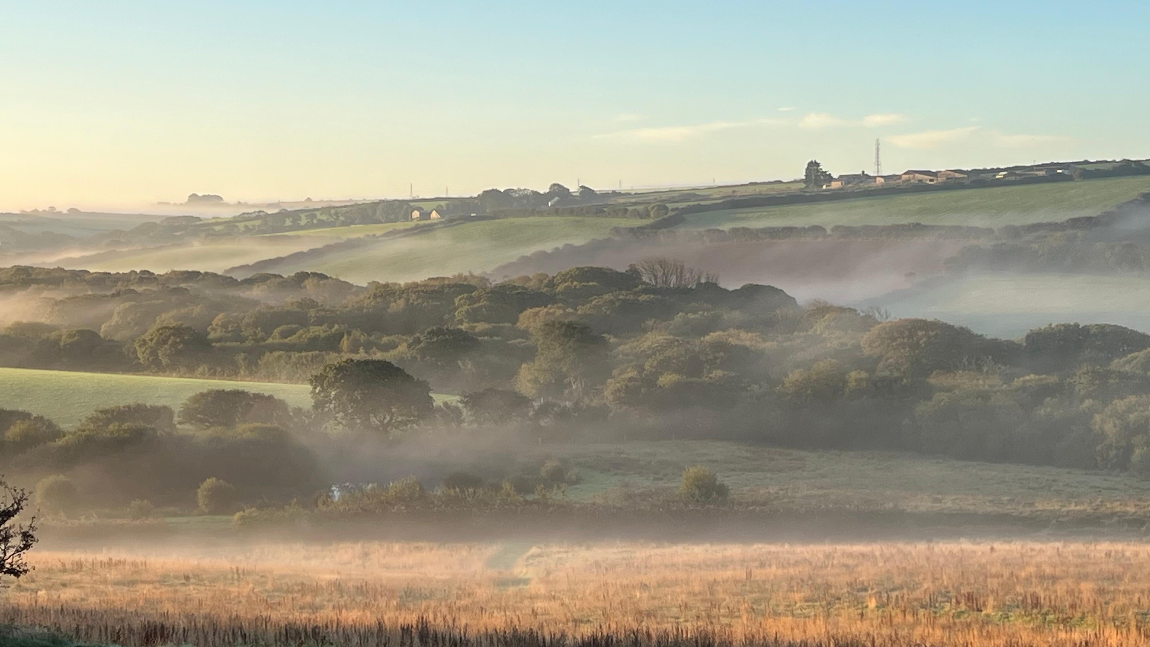 Morning view from our window