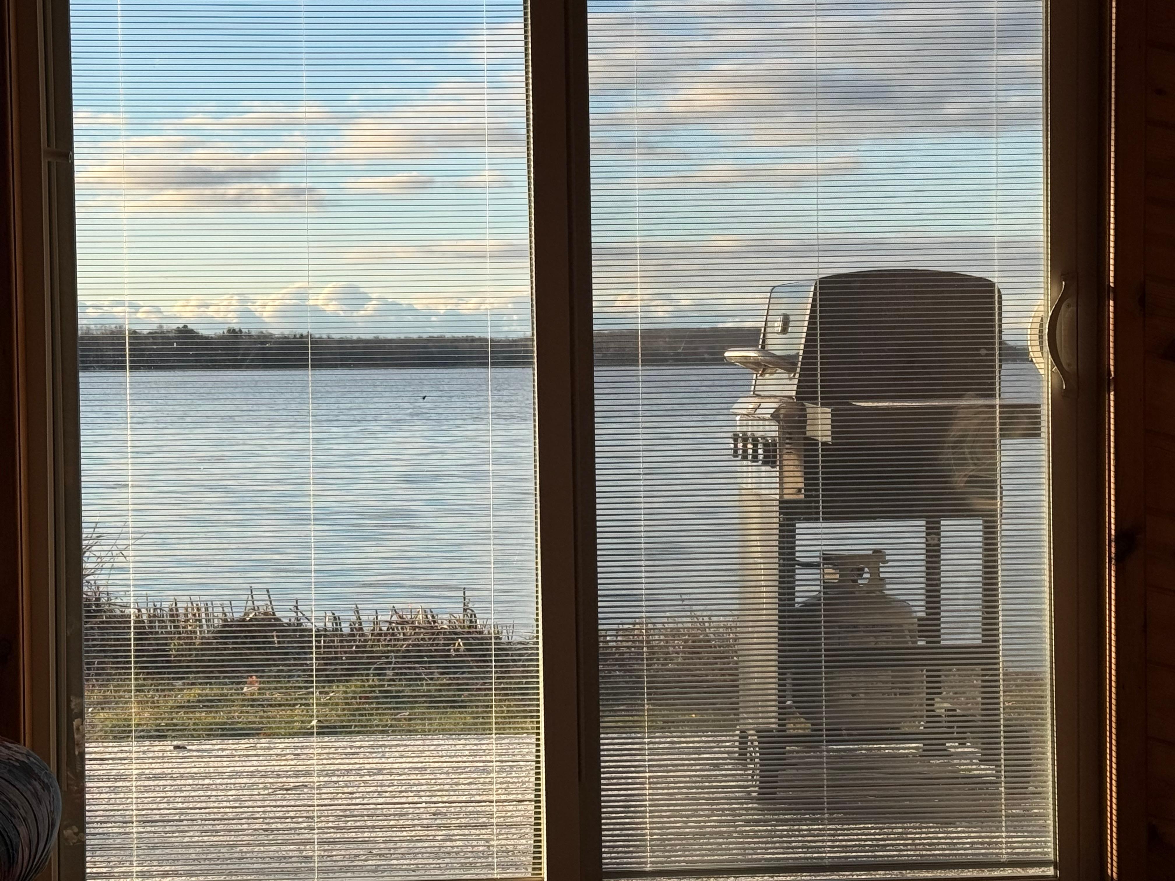 The view from the couch. (It was November and cold). 