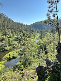 This is the view looking back toward the house from the waterfall.