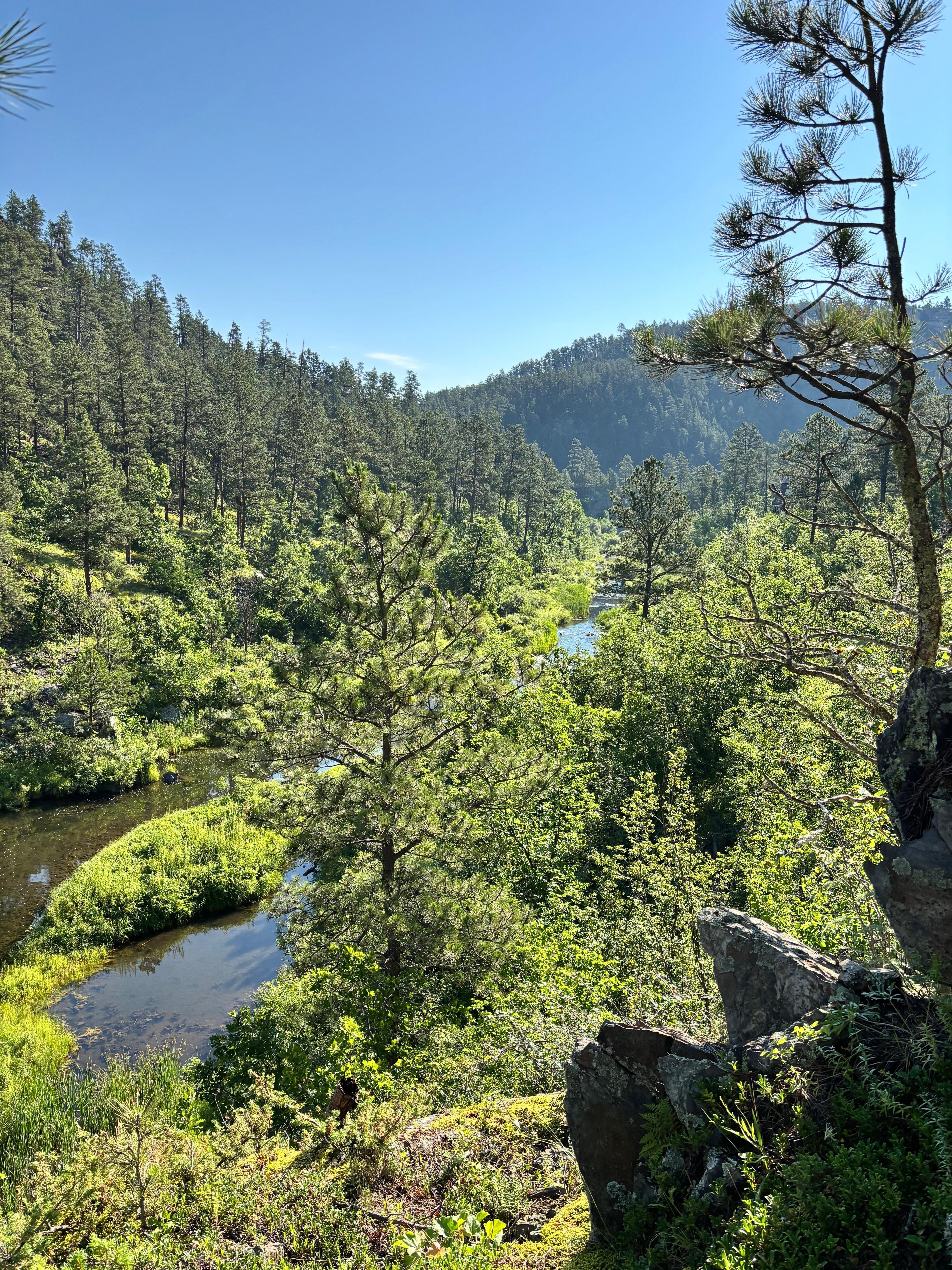 This is the view looking back toward the house from the waterfall. 