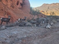 Valley of Fire
Daytrip