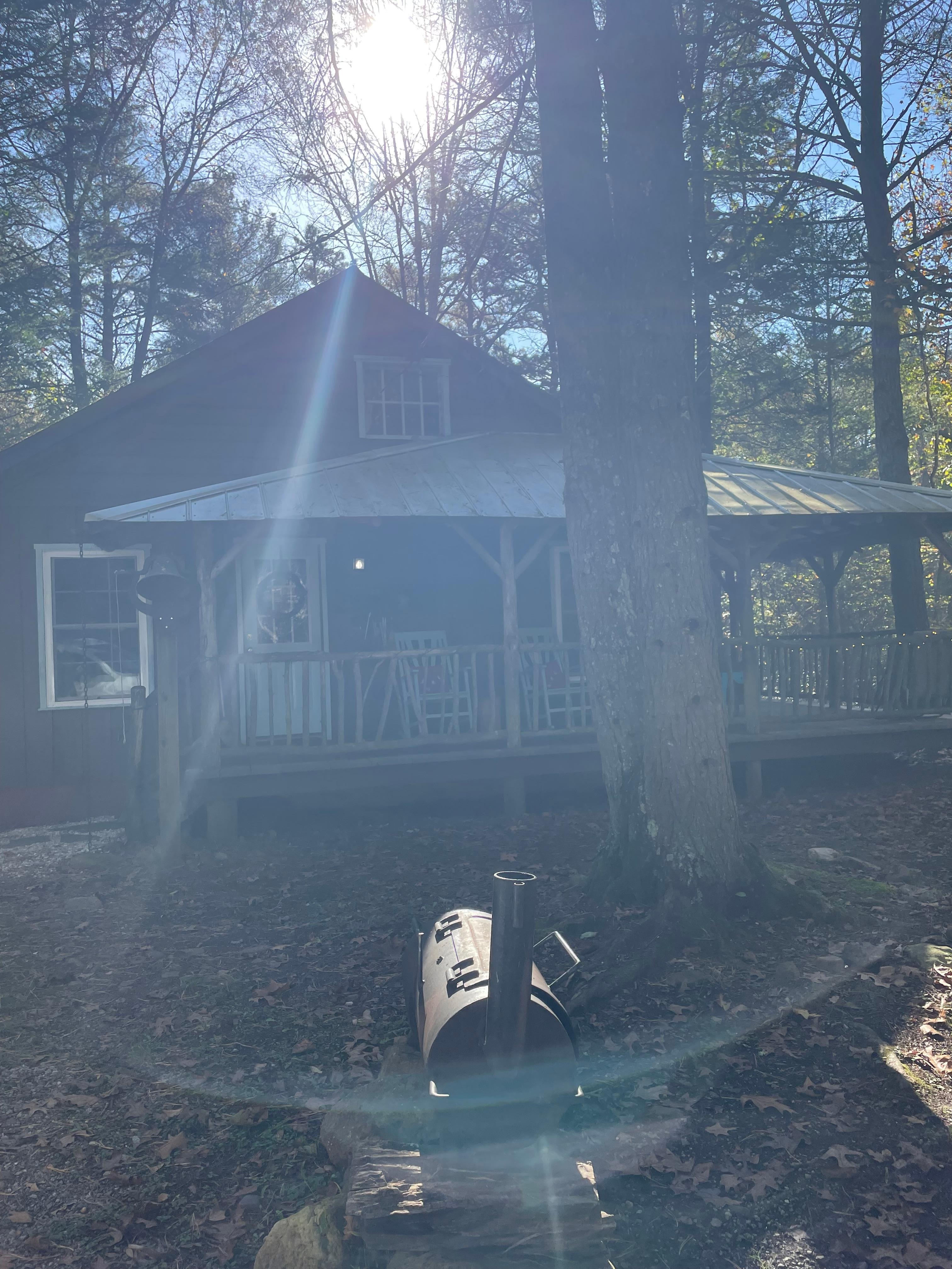 The sun looked so beautiful coming thru the trees