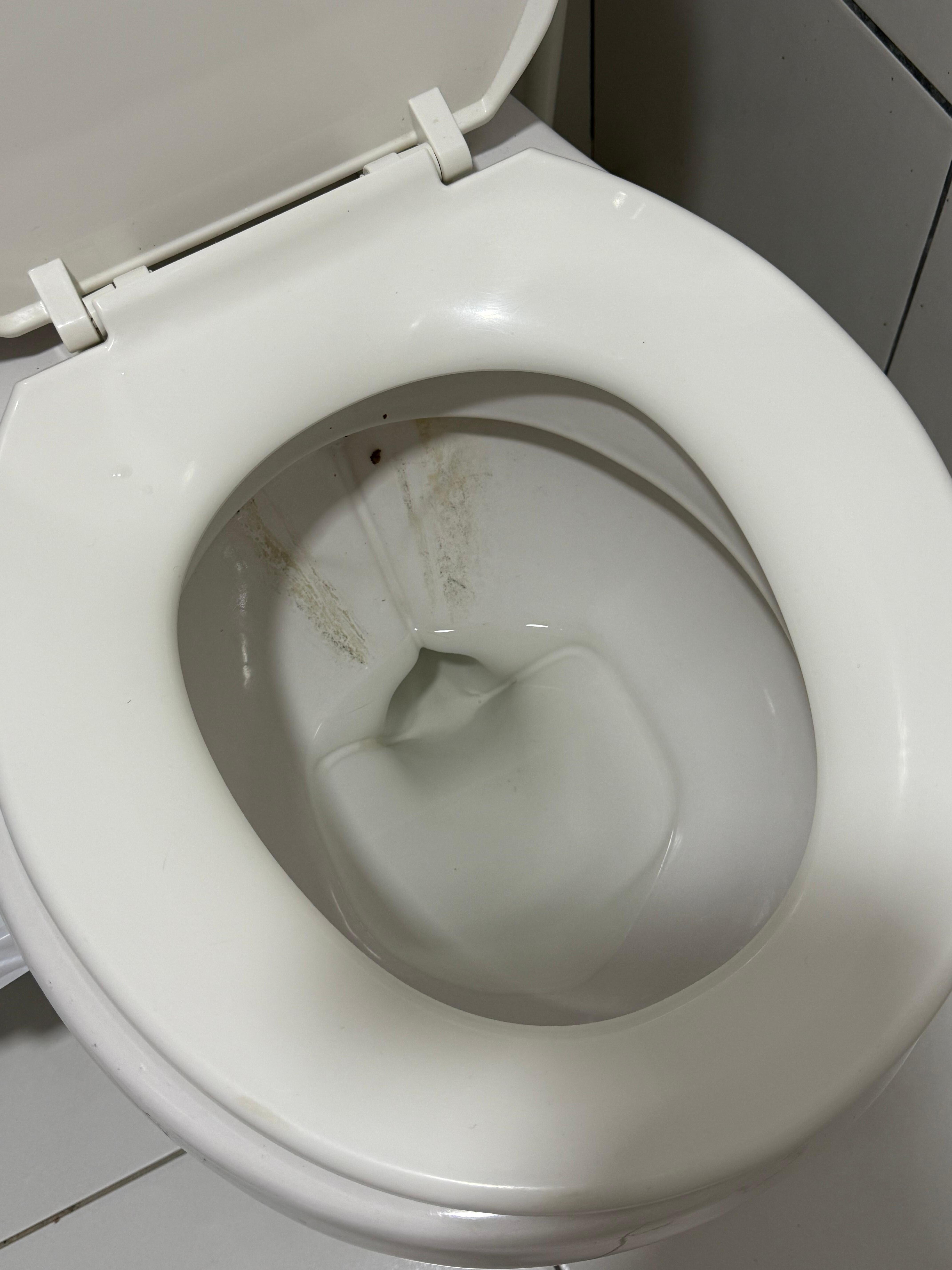 Excrement on toilet