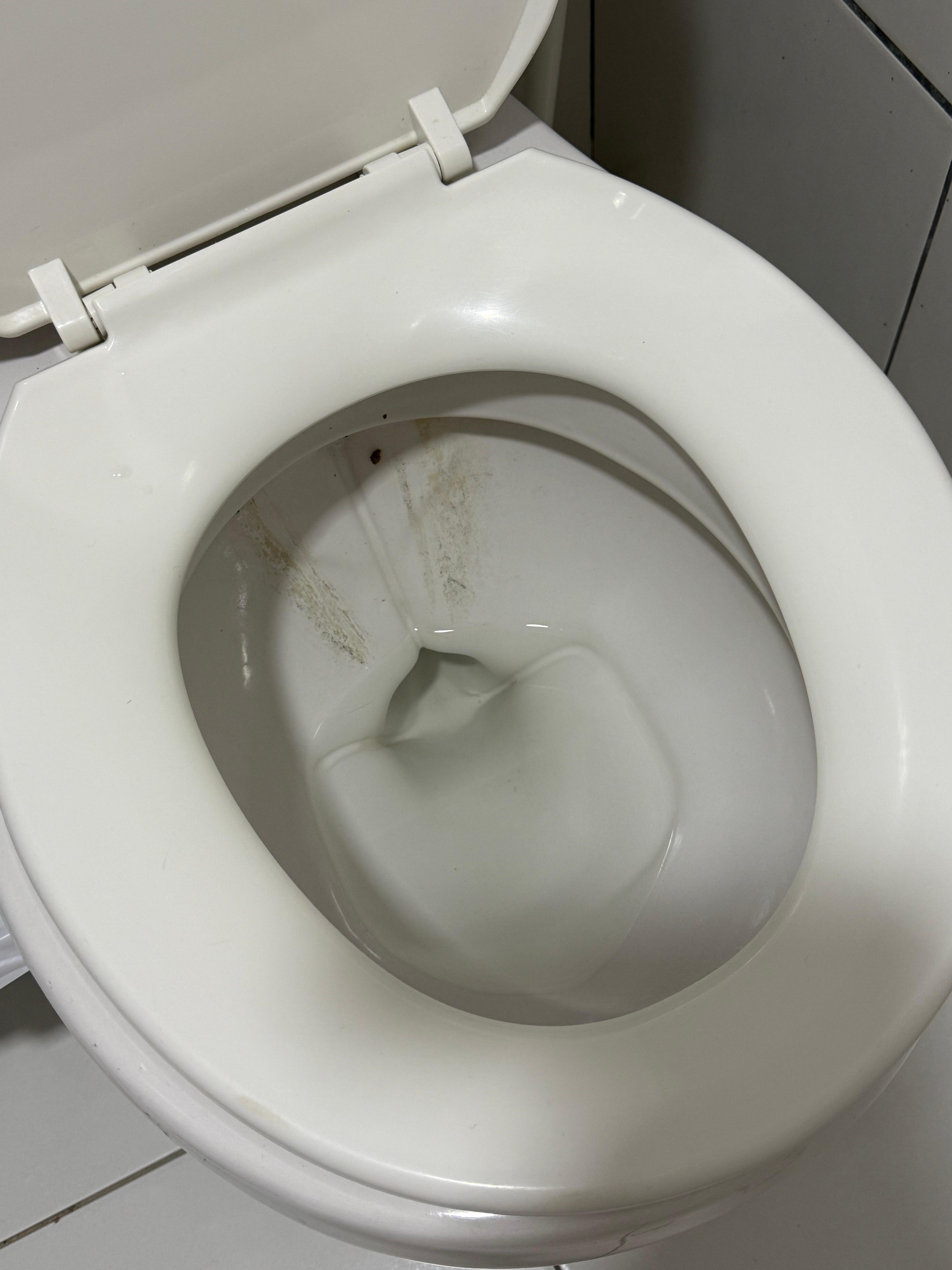 Excrement on toilet