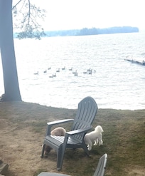 Every morning we had these little visitors.
