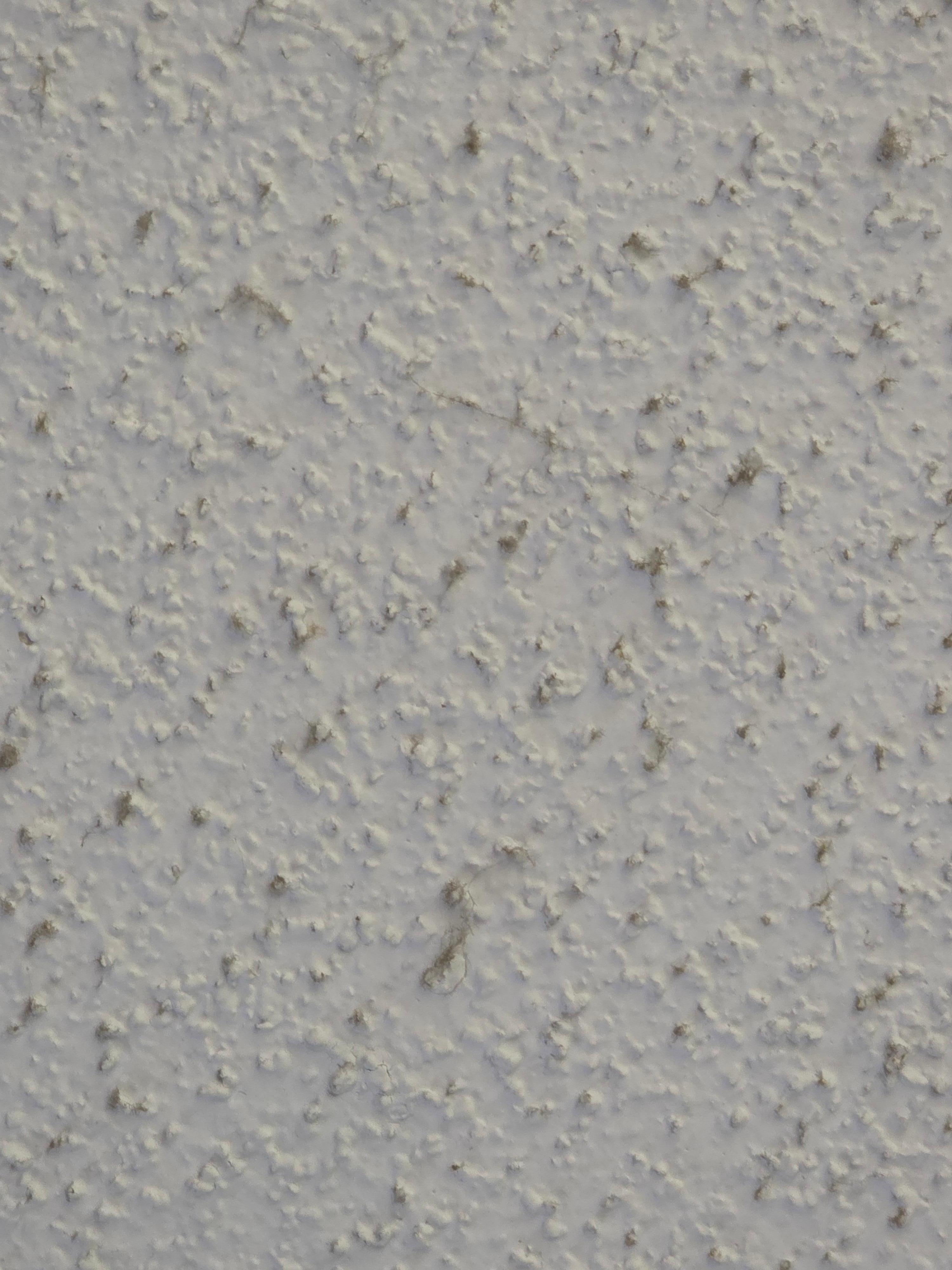 Mildew on ceiling 