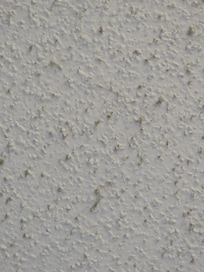 Mildew on ceiling