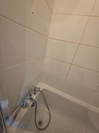 ZERO water pressure in the dirty shower. I had to kneel in the tub and hold my head under the spigot to rinse my hair.