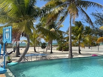 Backyard paradise