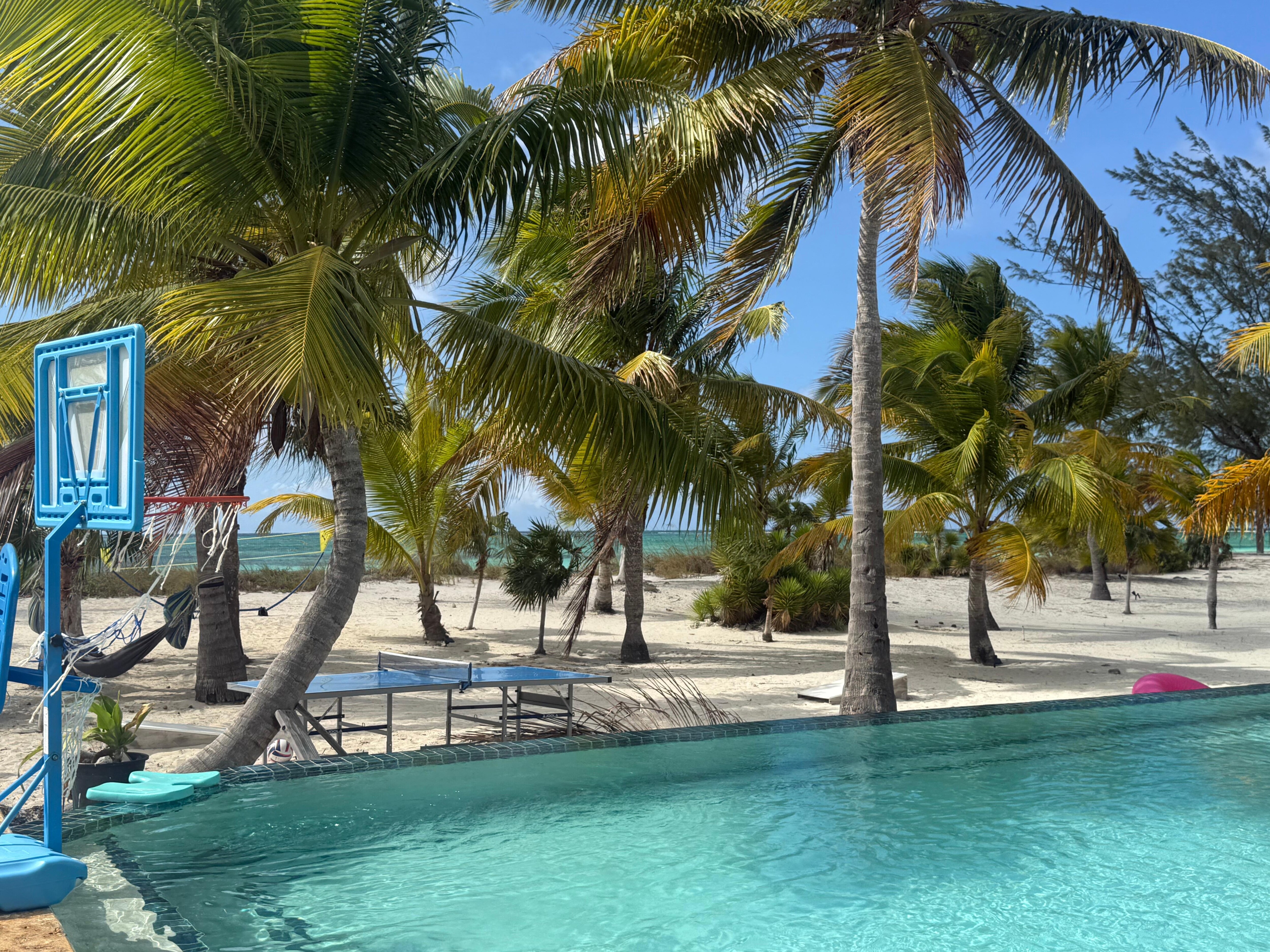 Backyard paradise 