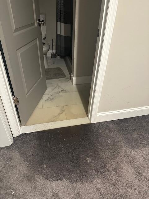 Water coming up from the shower and flooding the downstairs area. Plumber came but was unable to fix the problem. We were told not to use any water in the house after that.