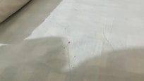 Lençol sujo , provavelmente sangue !!