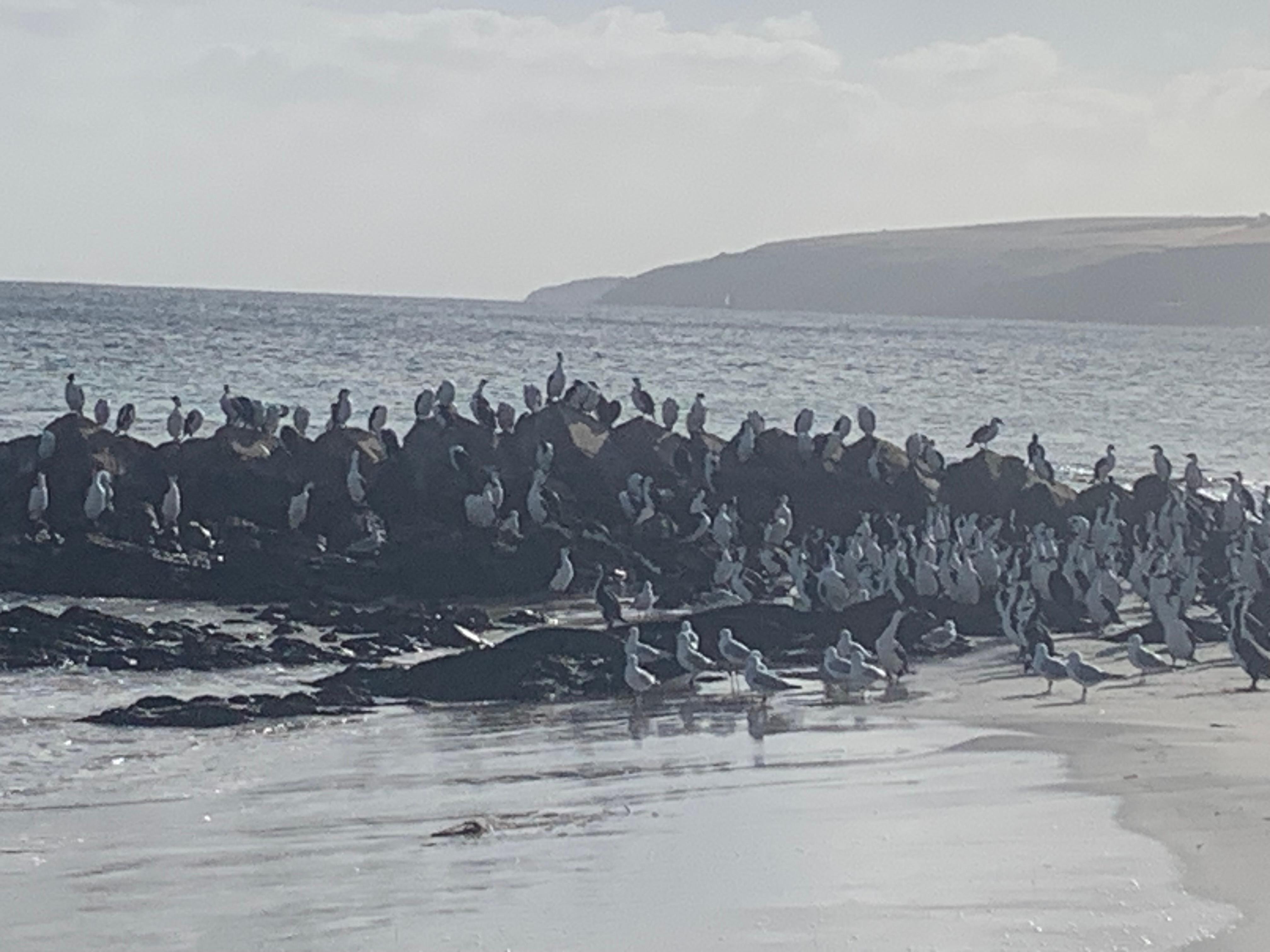 At the bottom of the garden