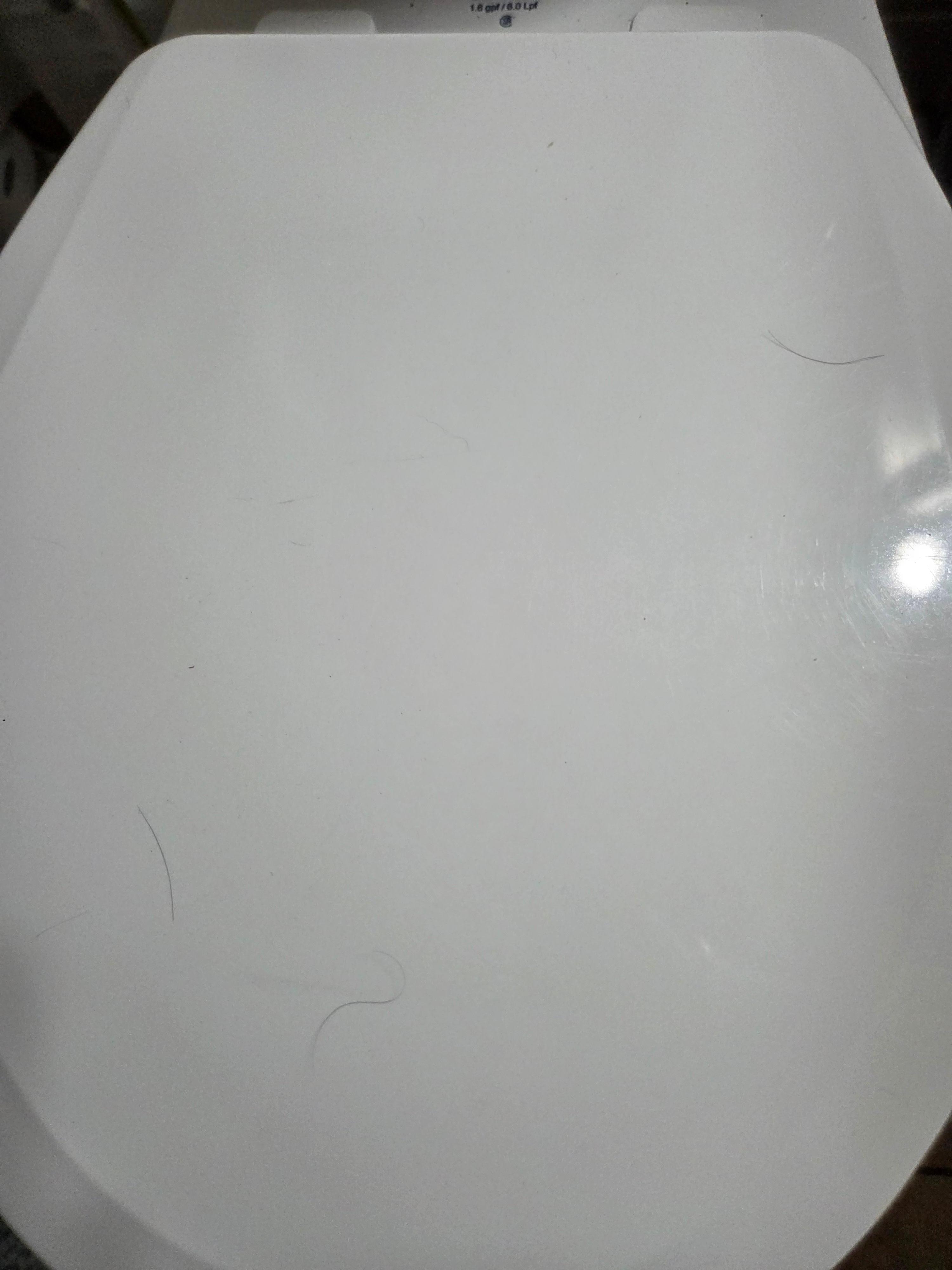 Pubic hair covering top of toilet lid