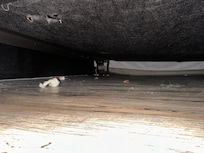 Dirty floor under the bed.
