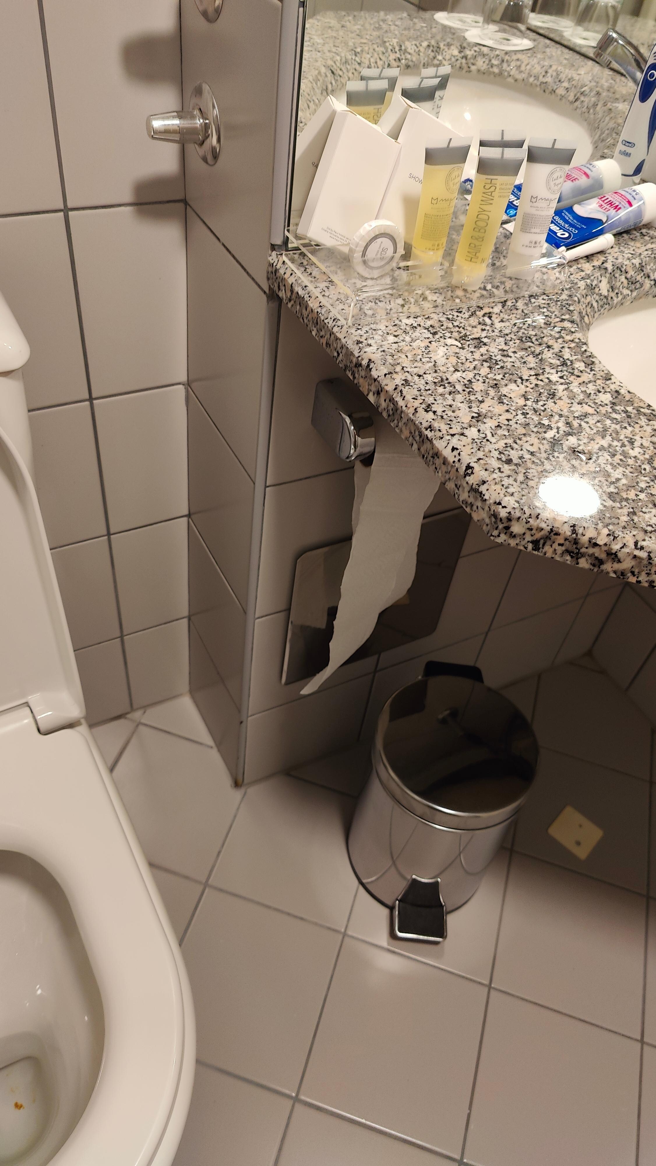 Toilet roll, perfect location for Contortionists , just not the rest of the human race