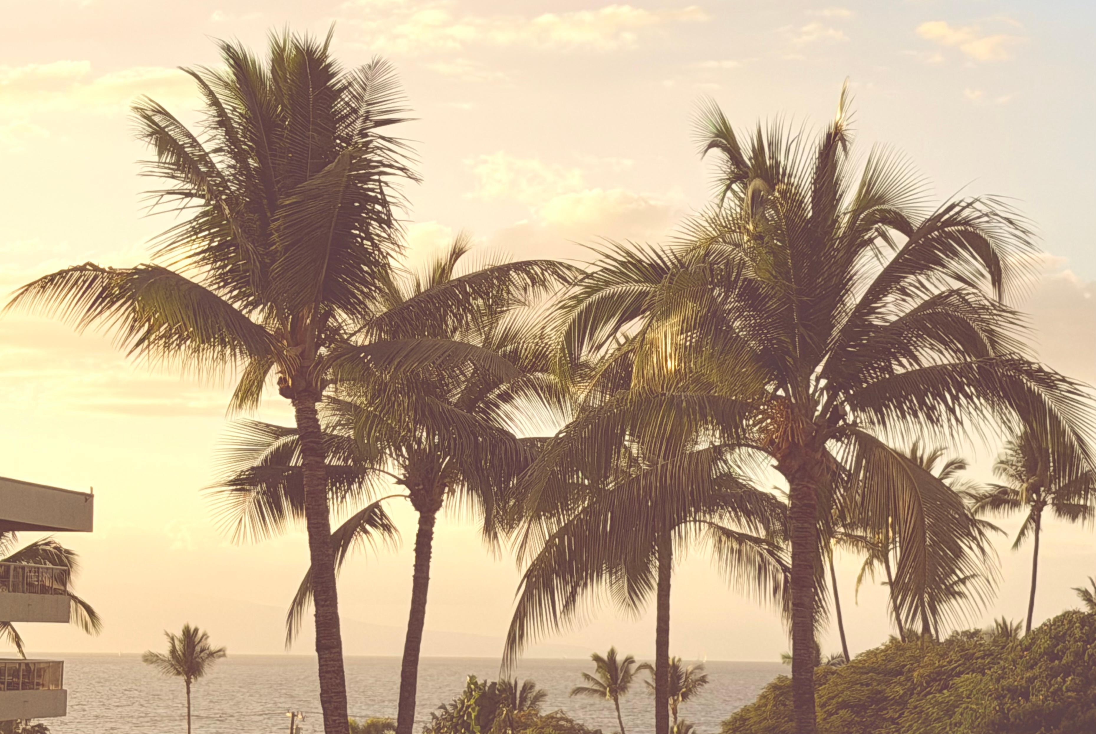 Sunset view from my lanai