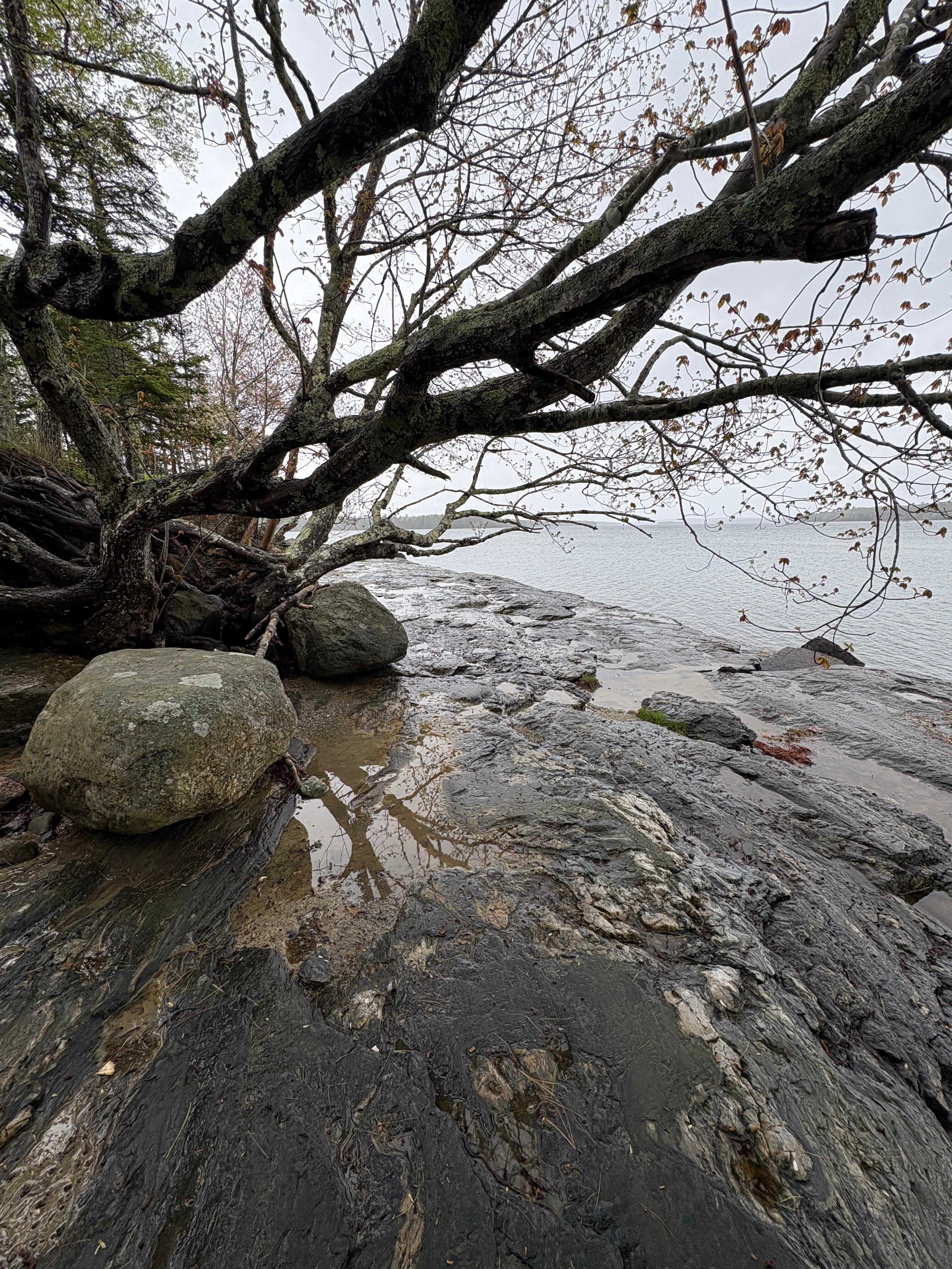 Walk along rocky shore