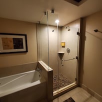 Bathroom - Shower and Bathtub