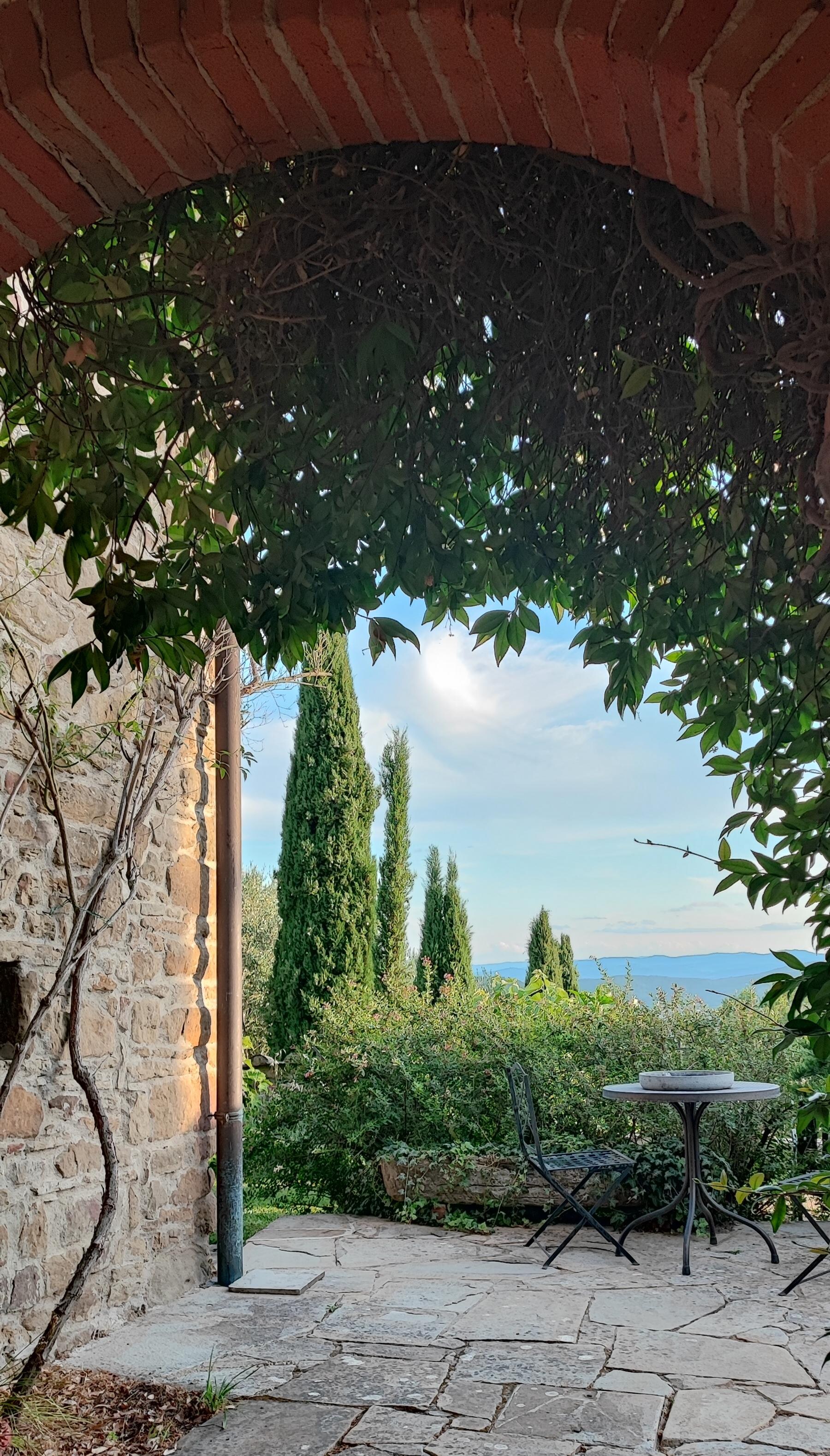 Blick von der Terrasse 