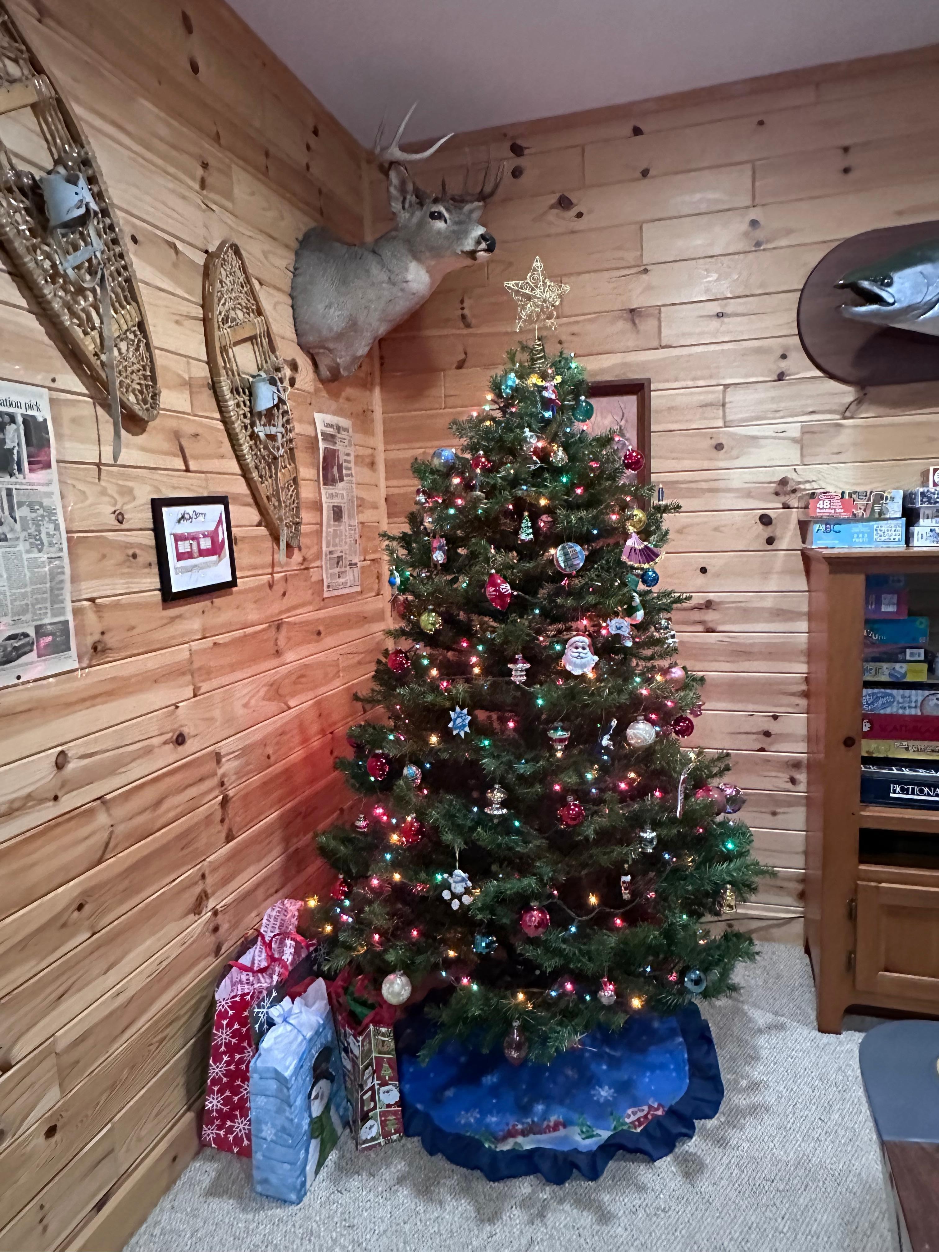 Christmas tree in basement game area
